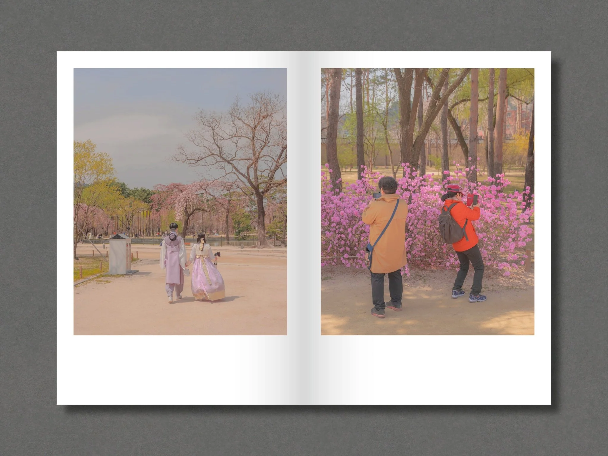 014 - Teresa Freitas - Special Edition (3 Print Options) - Image 12