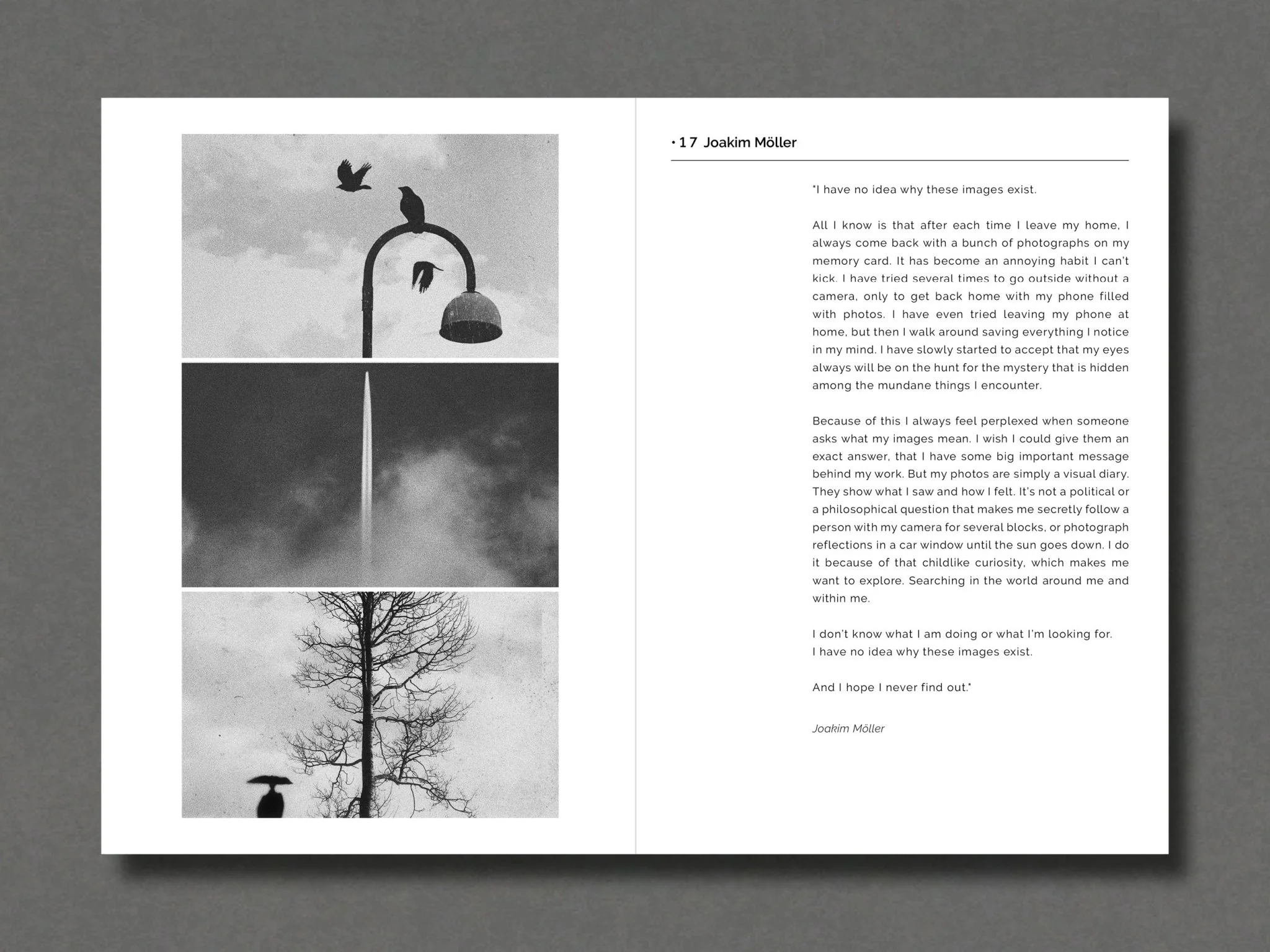 017 - Joakim Möller - Image 6
