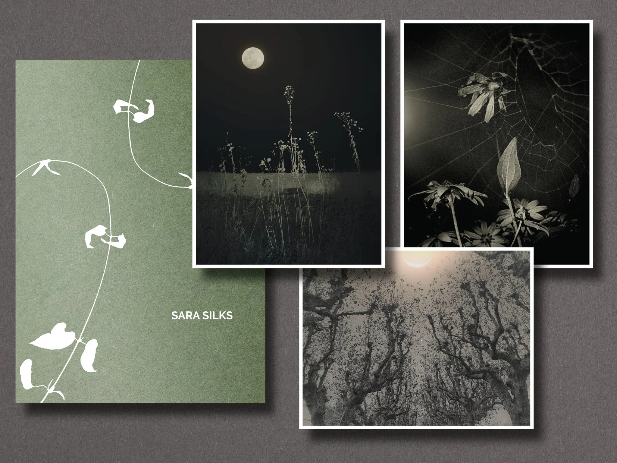 023 - Sara Silks