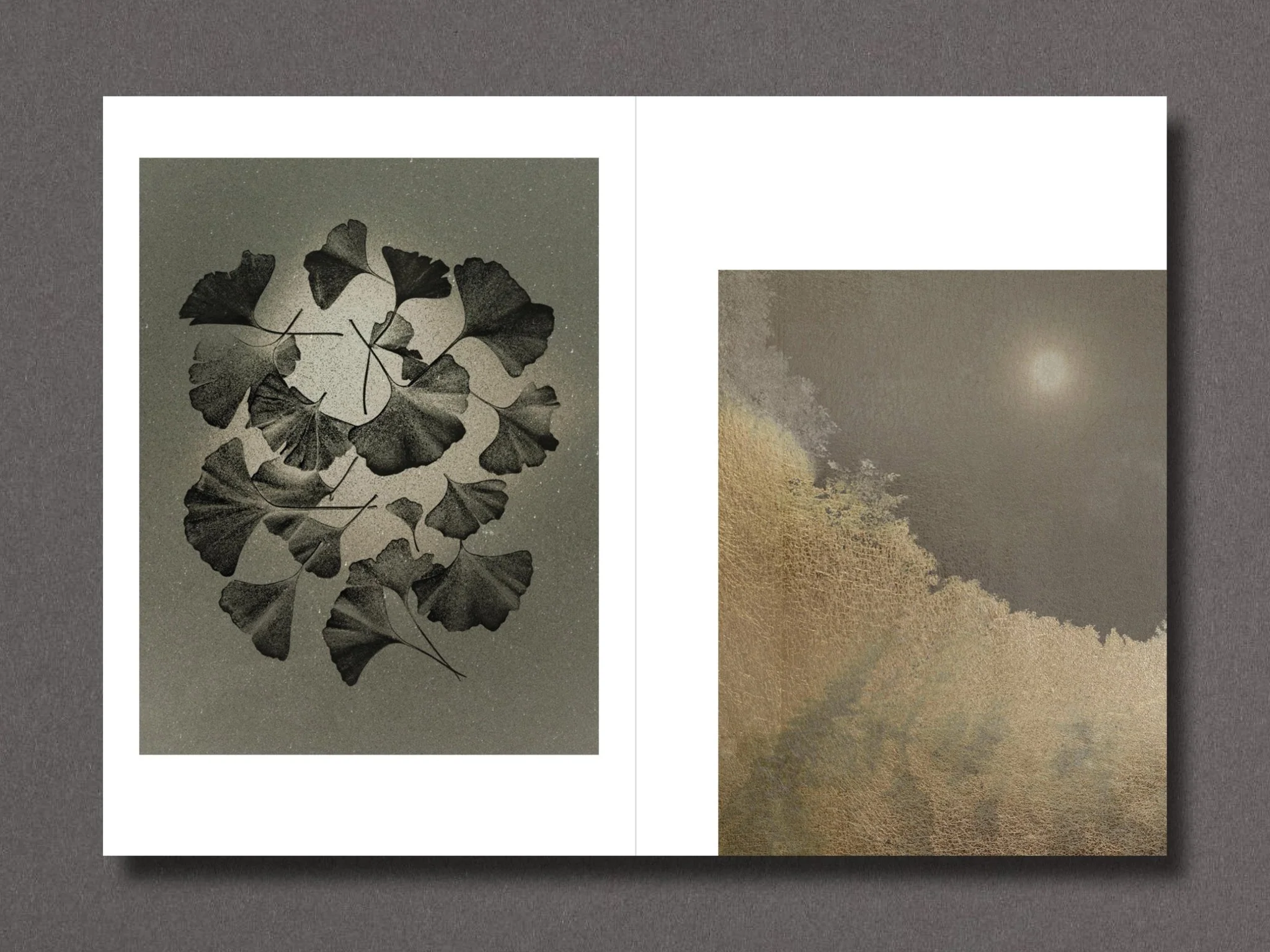 023 - Sara Silks - Image 7