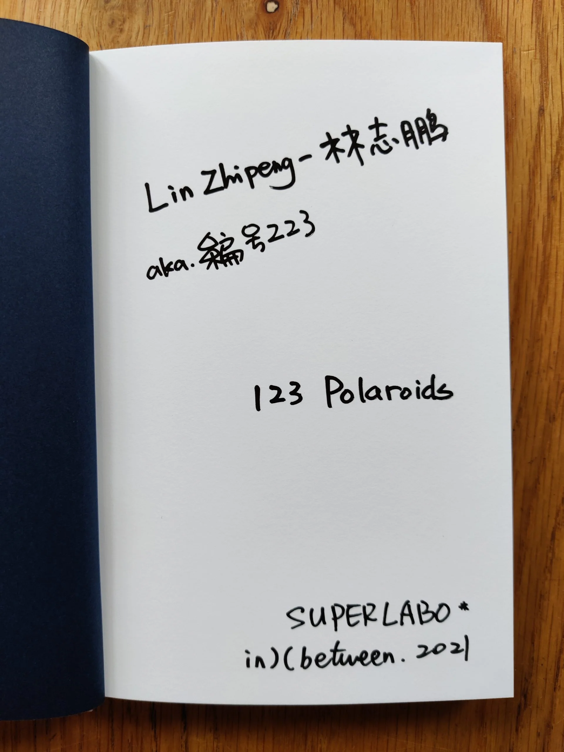 123 Polaroids (2 Cover Options) - Image 2