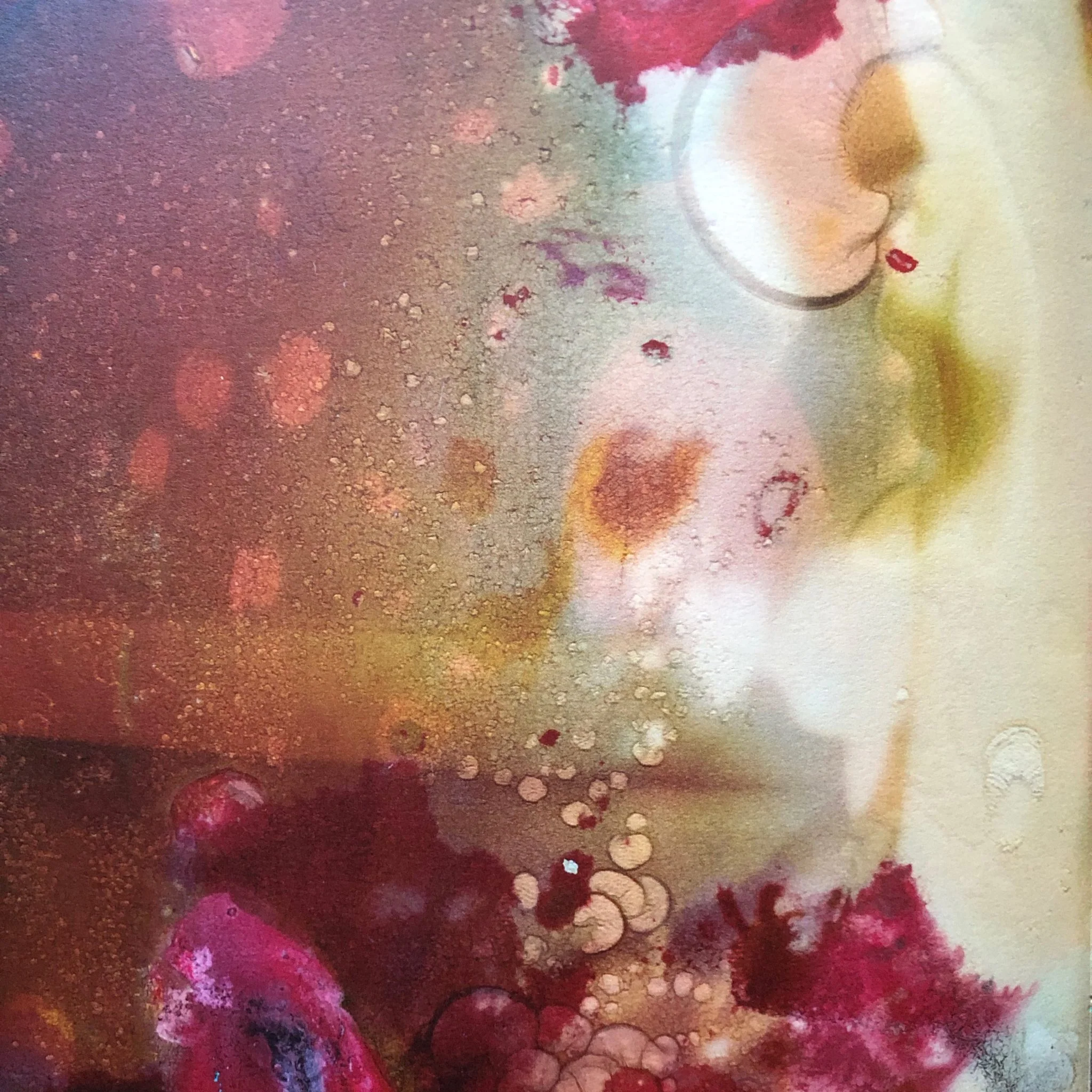 36 + 8 Polaroids - Image 5