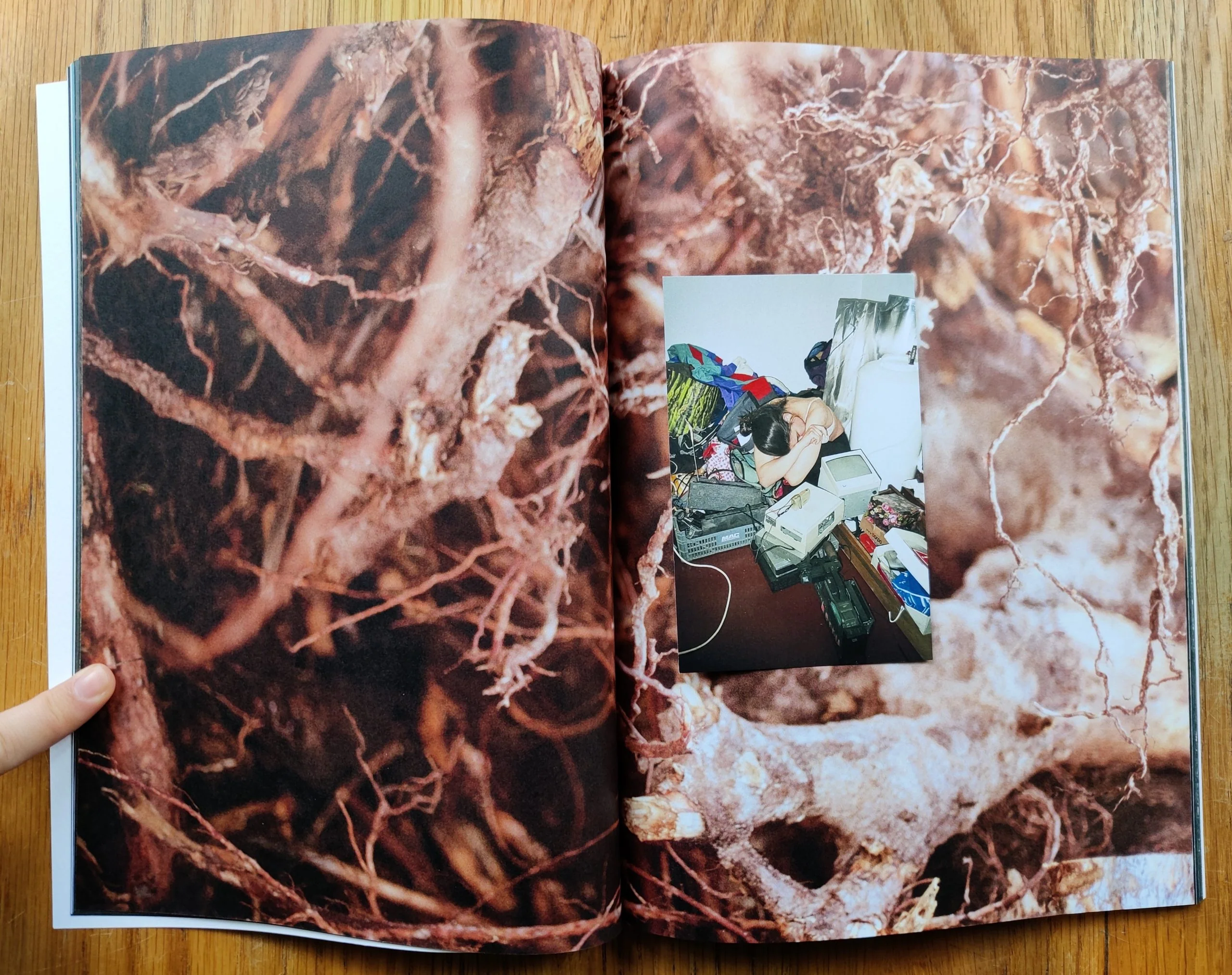 A - Image 10