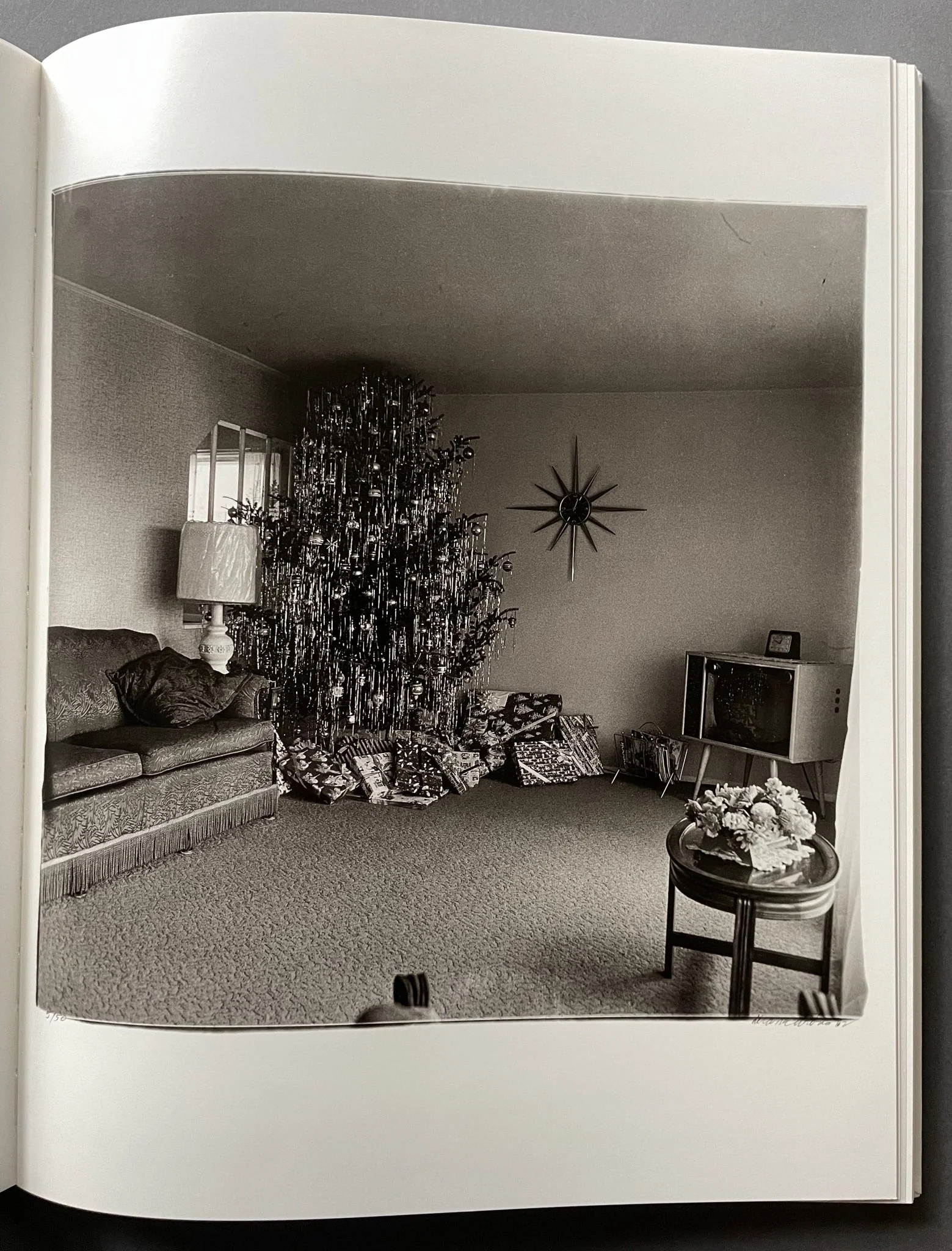 A Box of Ten Photographs - Image 4
