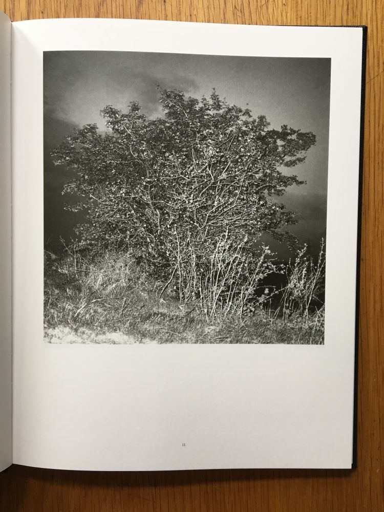A Glass Darkly - Image 2