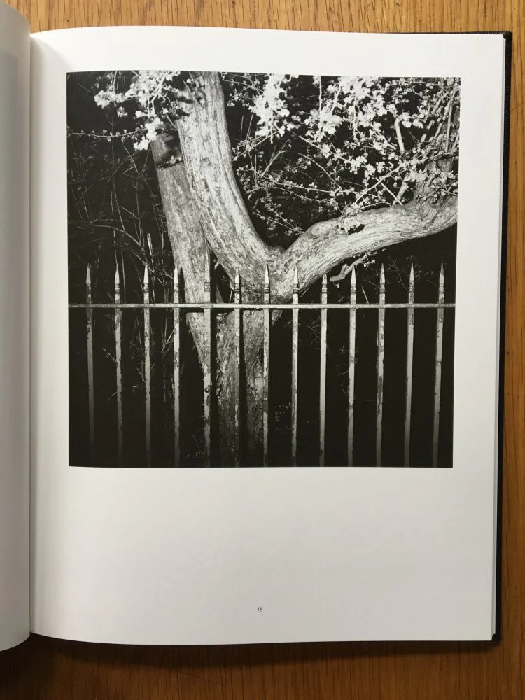 A Glass Darkly - Image 3