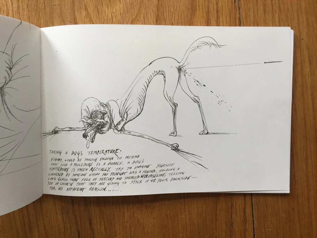 A Leg in the Wind - Image 6