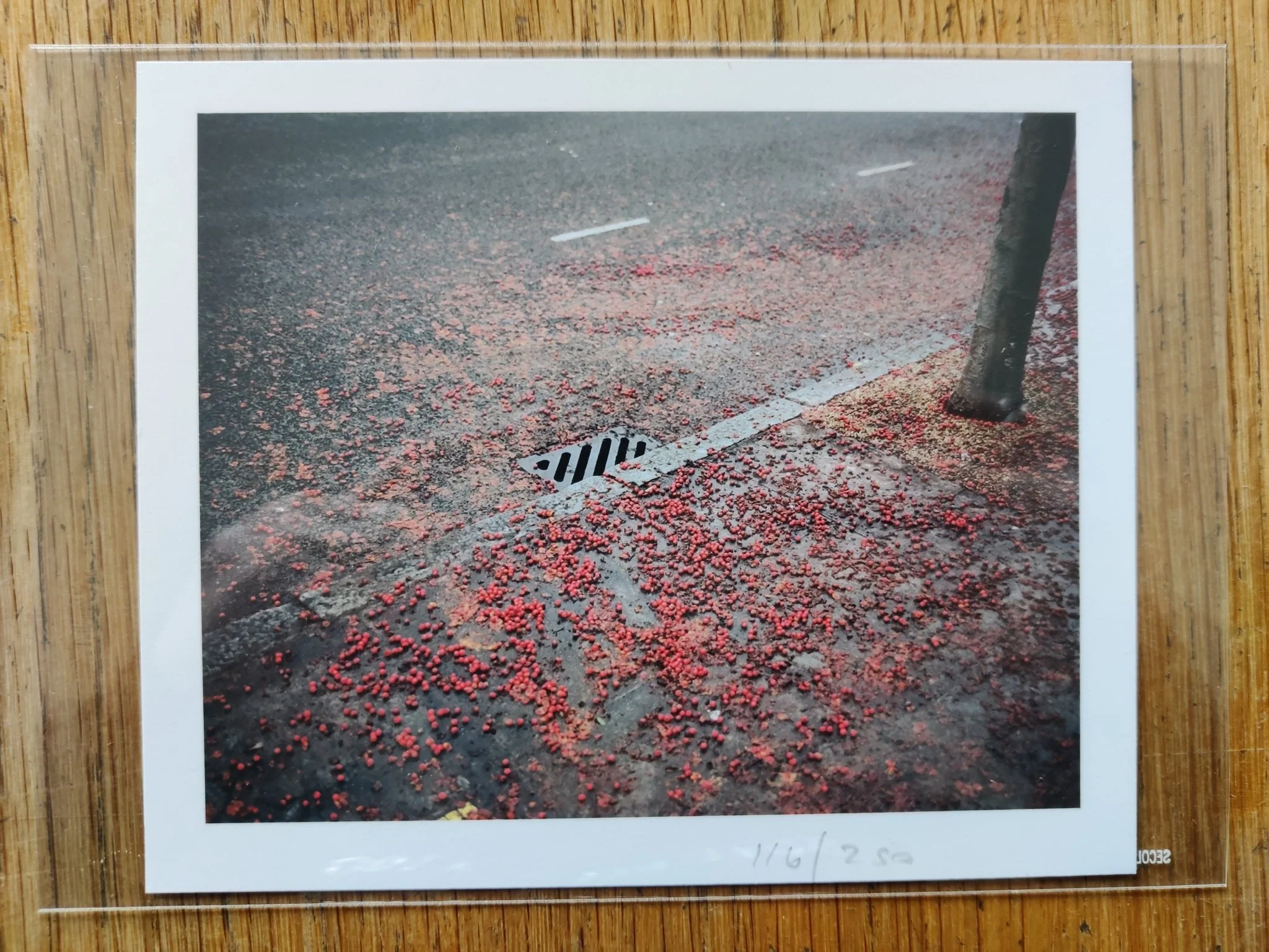 A Portrait of Hackney (Collector's Edition) - Image 3