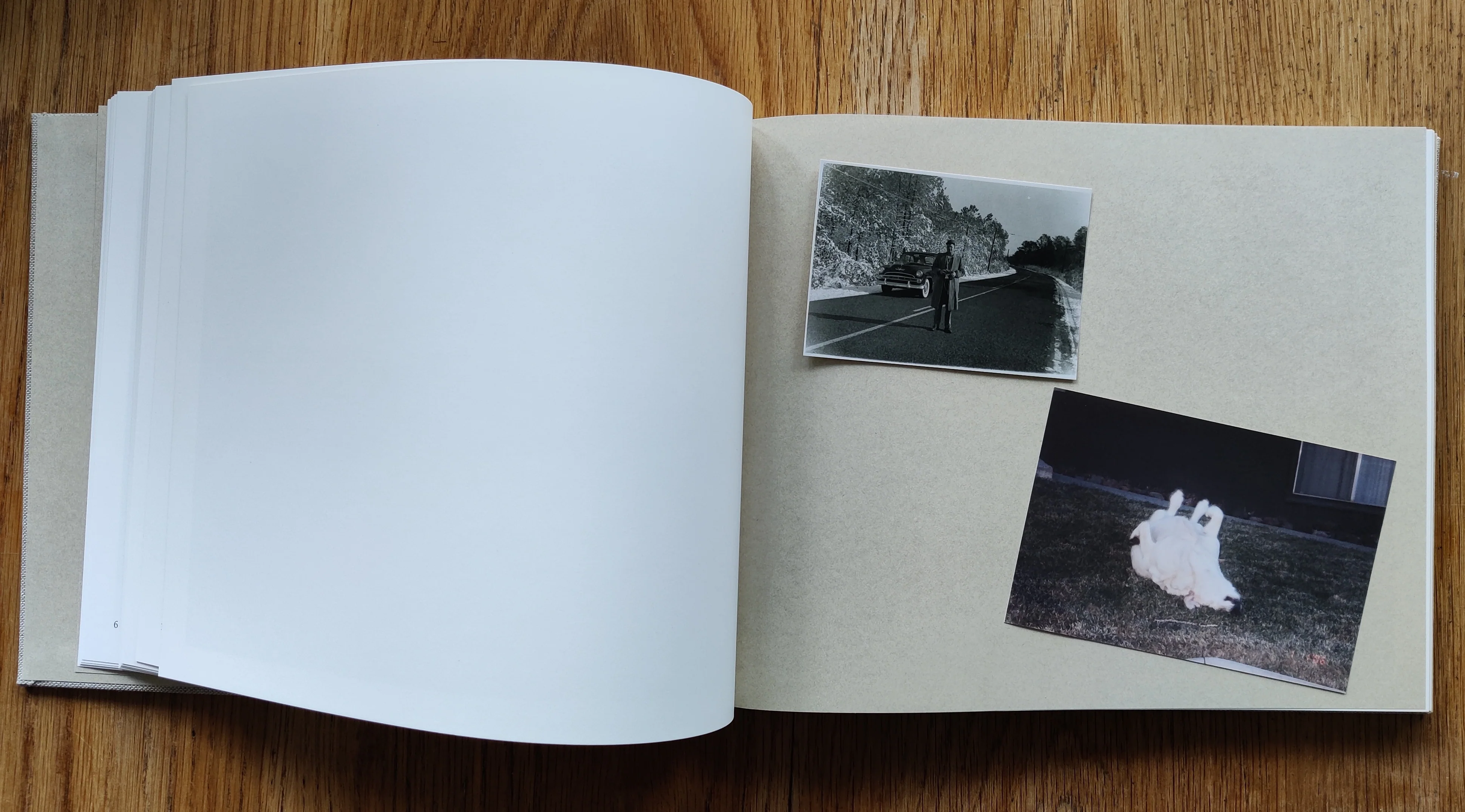 A Pound of Pictures - Special Edition - Image 8