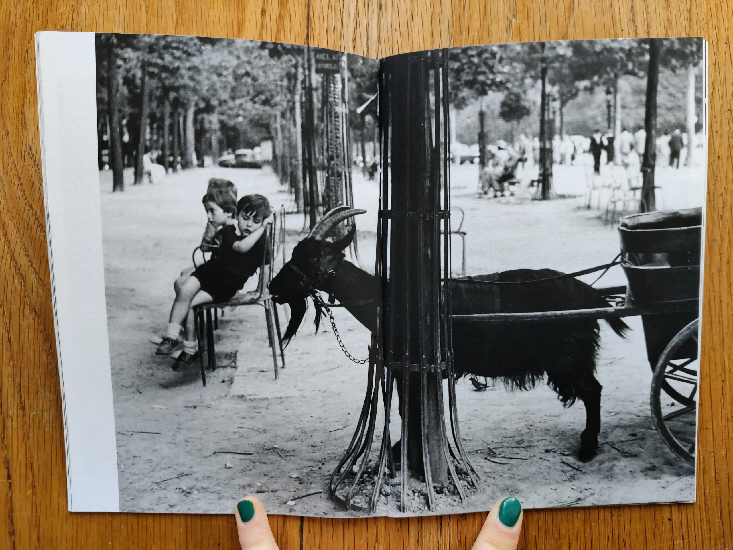 A World Observed Box Set - Image 6