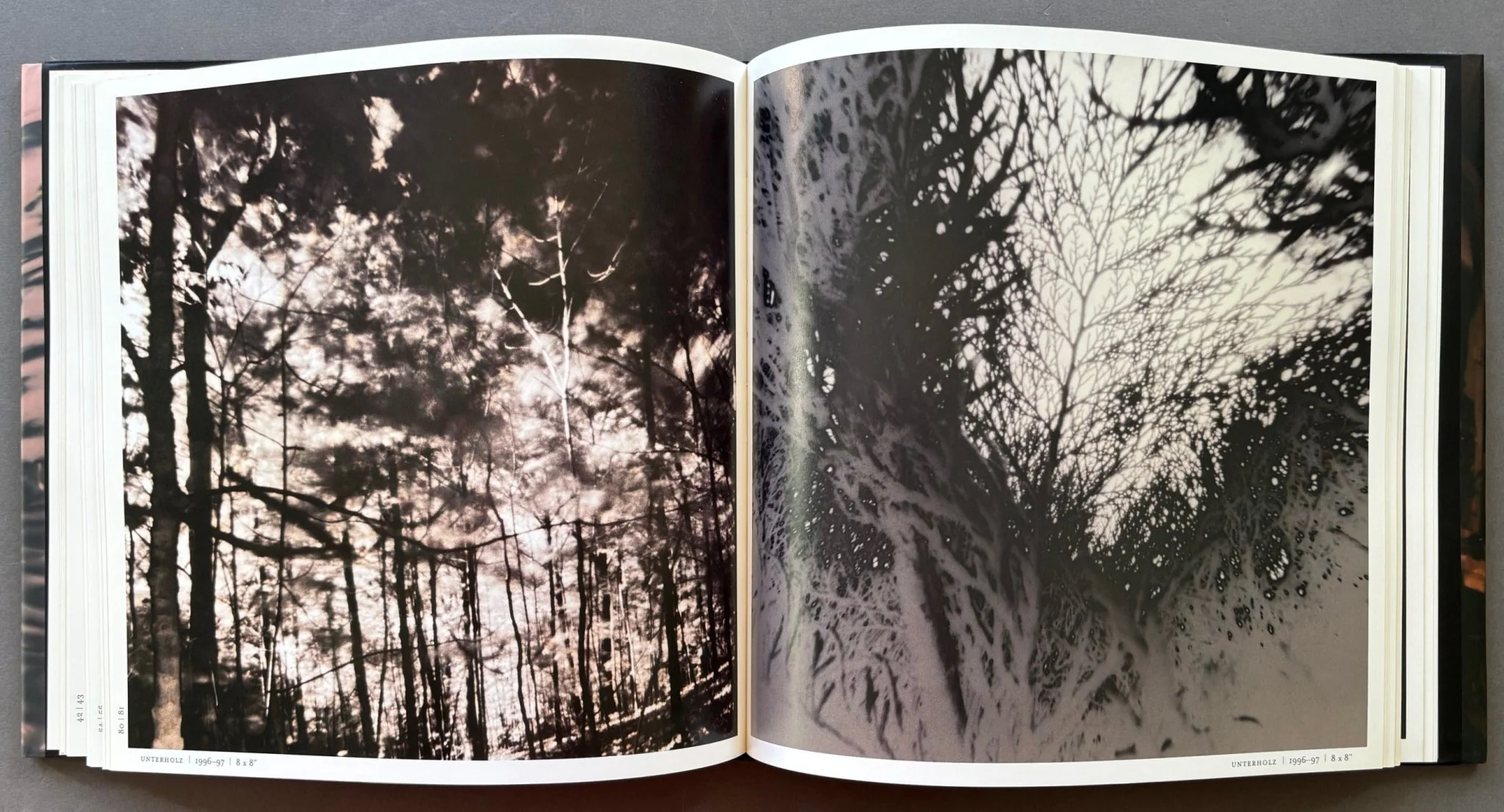 Aaron Rose: Photographs - Image 3