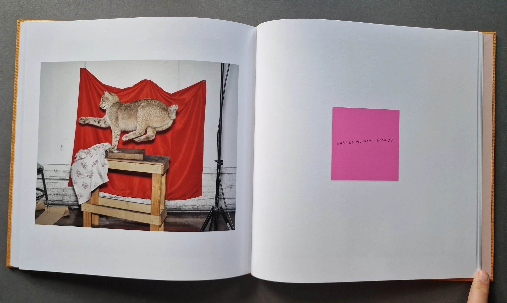 Advice for Young Artists - Image 8