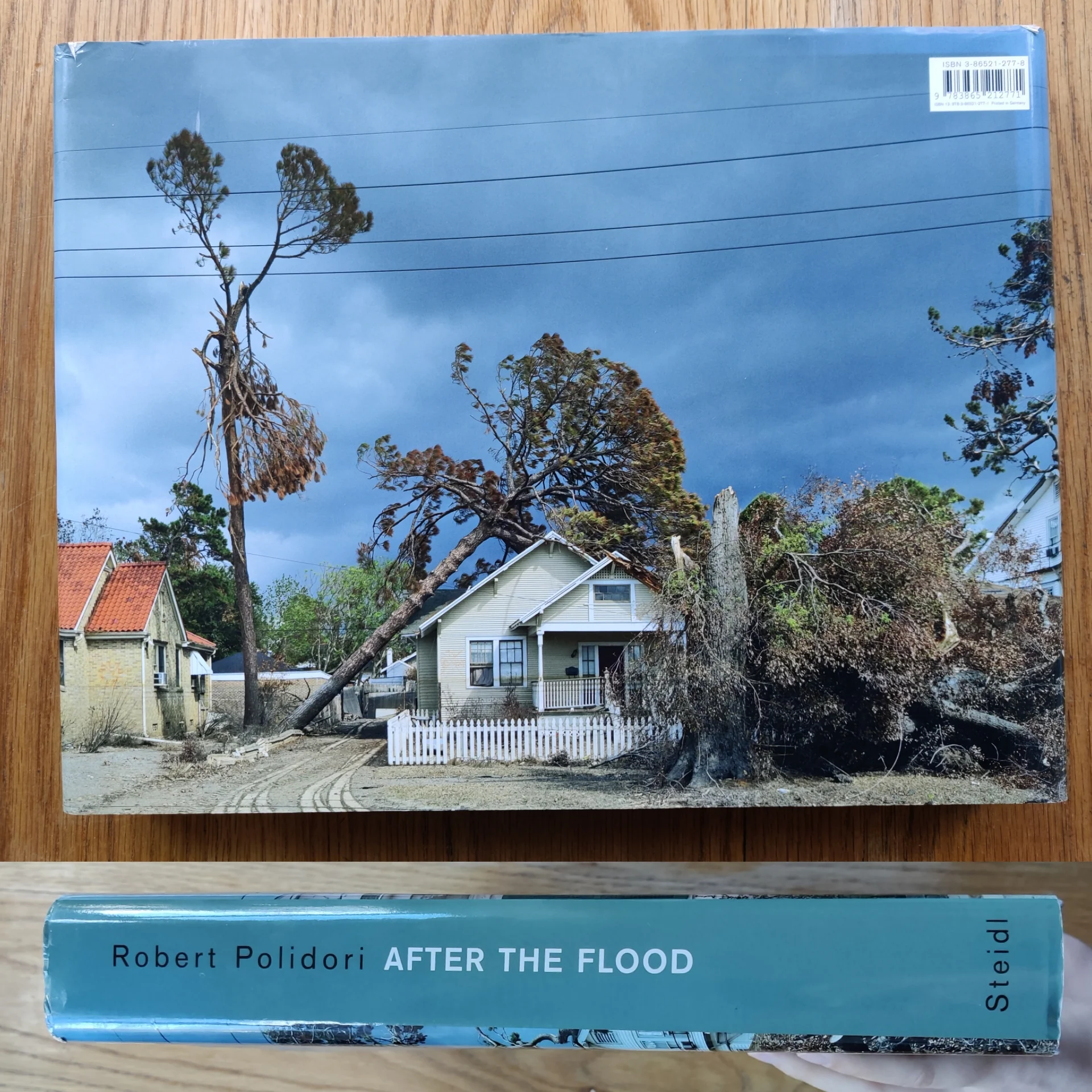 After the Flood - Image 11