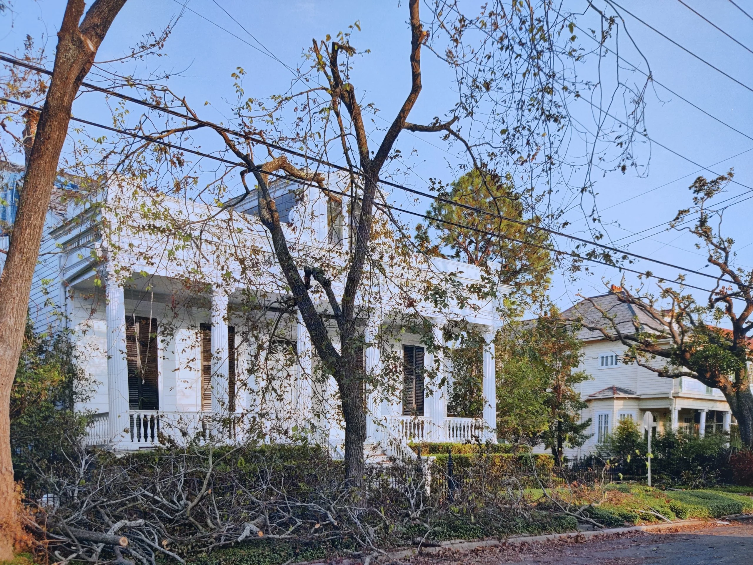 After the Flood - Image 6