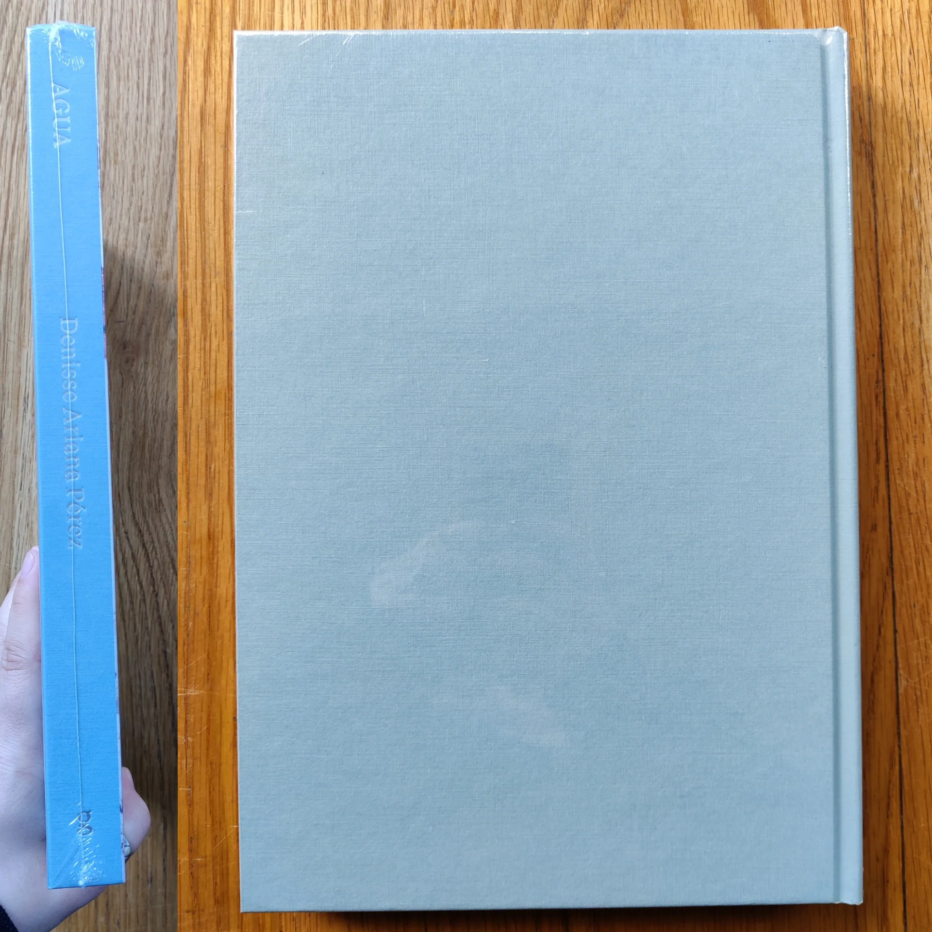 AGUA (Two Cover Options) - Image 10