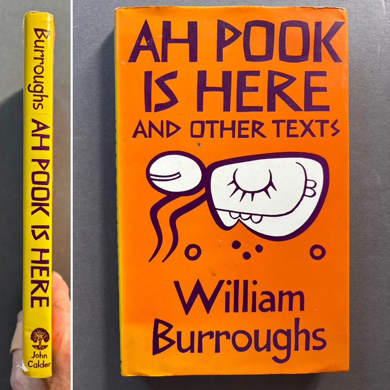 Ah Pook Is Here and Other Texts