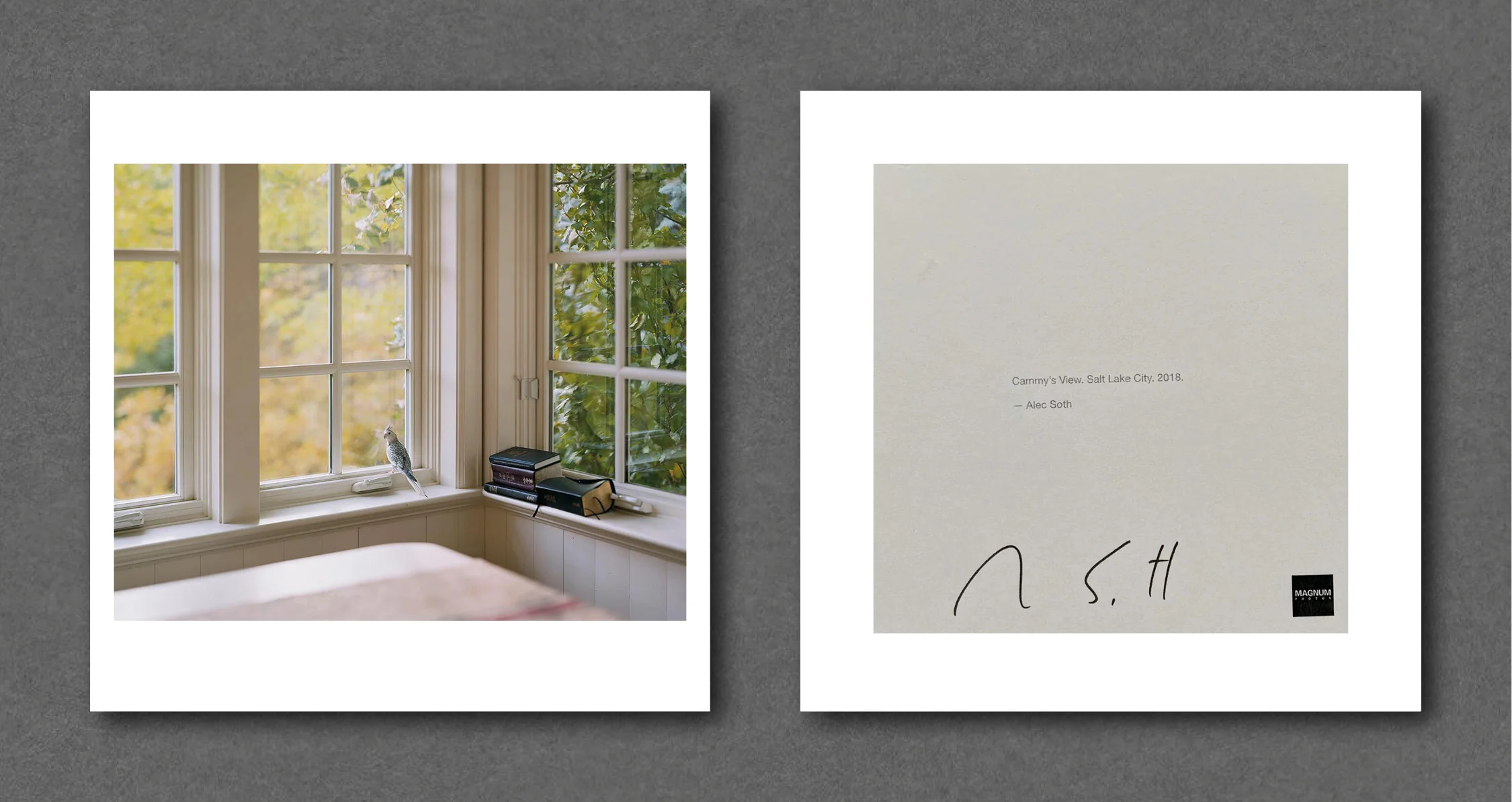 Alec Soth Magnum Square Prints - Image 4