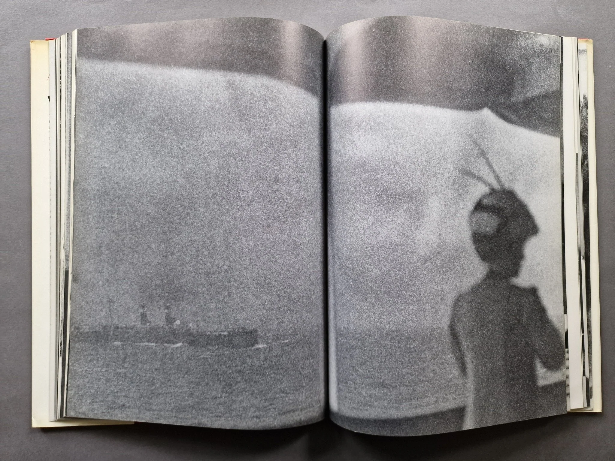 Allure - Image 7