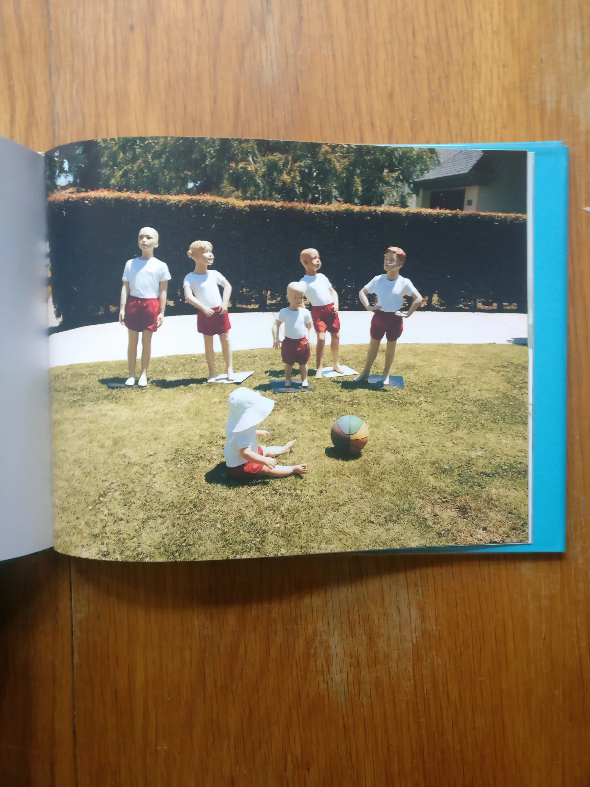 Alphabet Book - Image 8