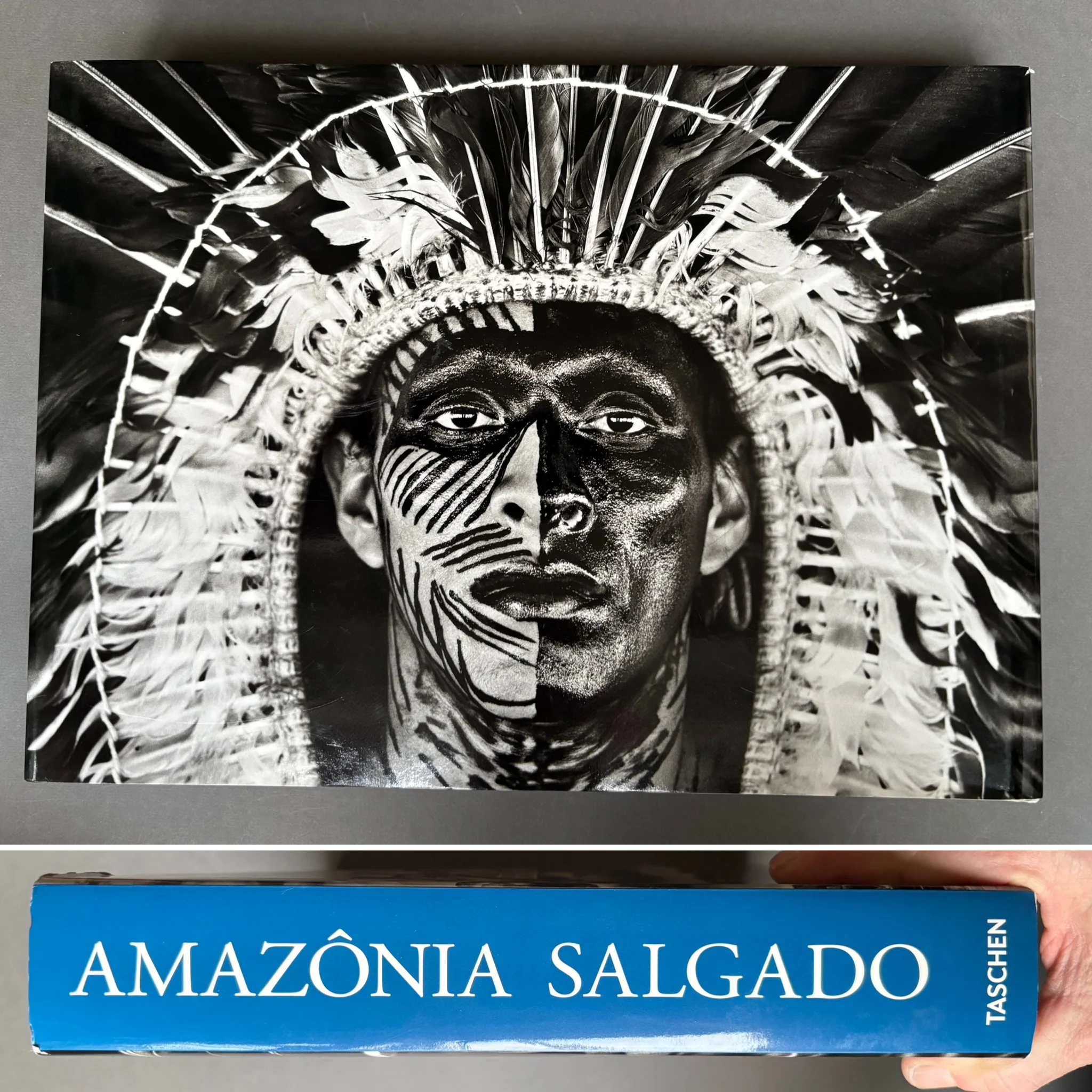 Amazonia - Image 6