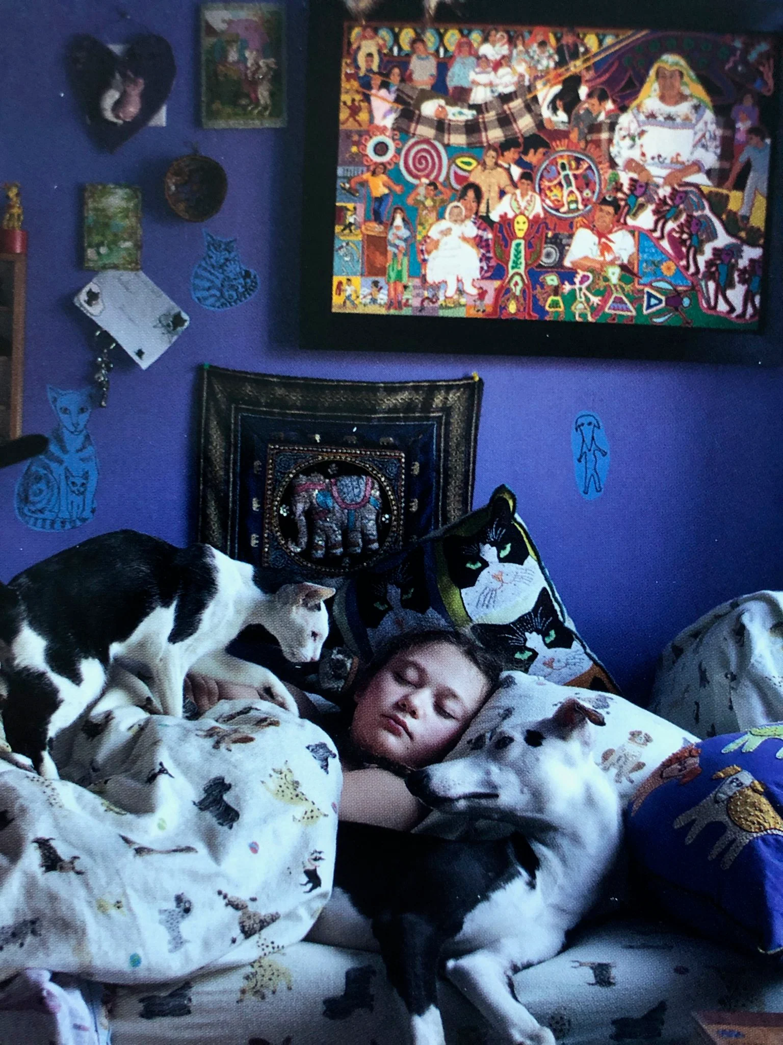 Amelia & The Animals - Image 4