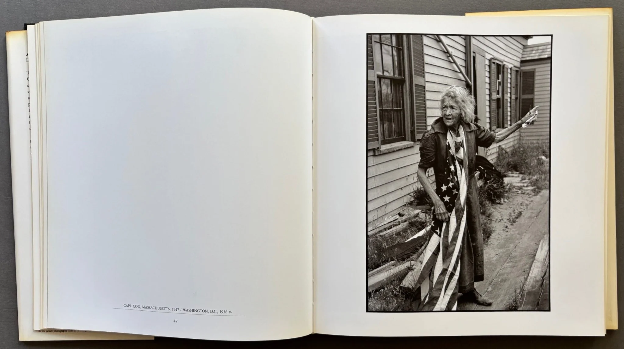 America in Passing - Image 2