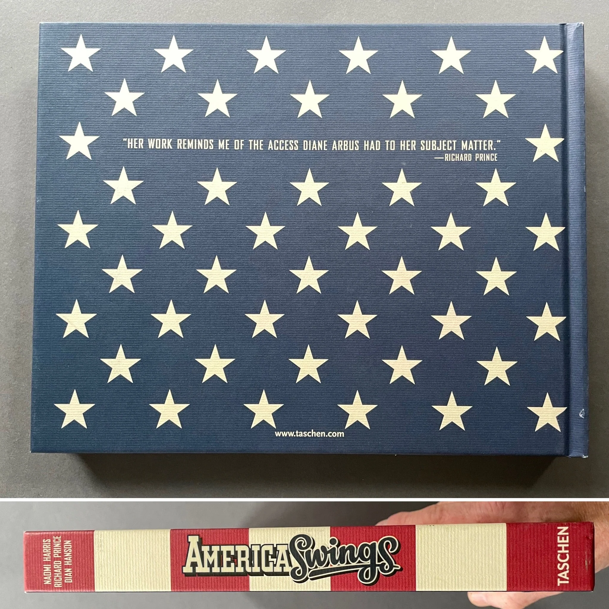 America Swings - Image 7