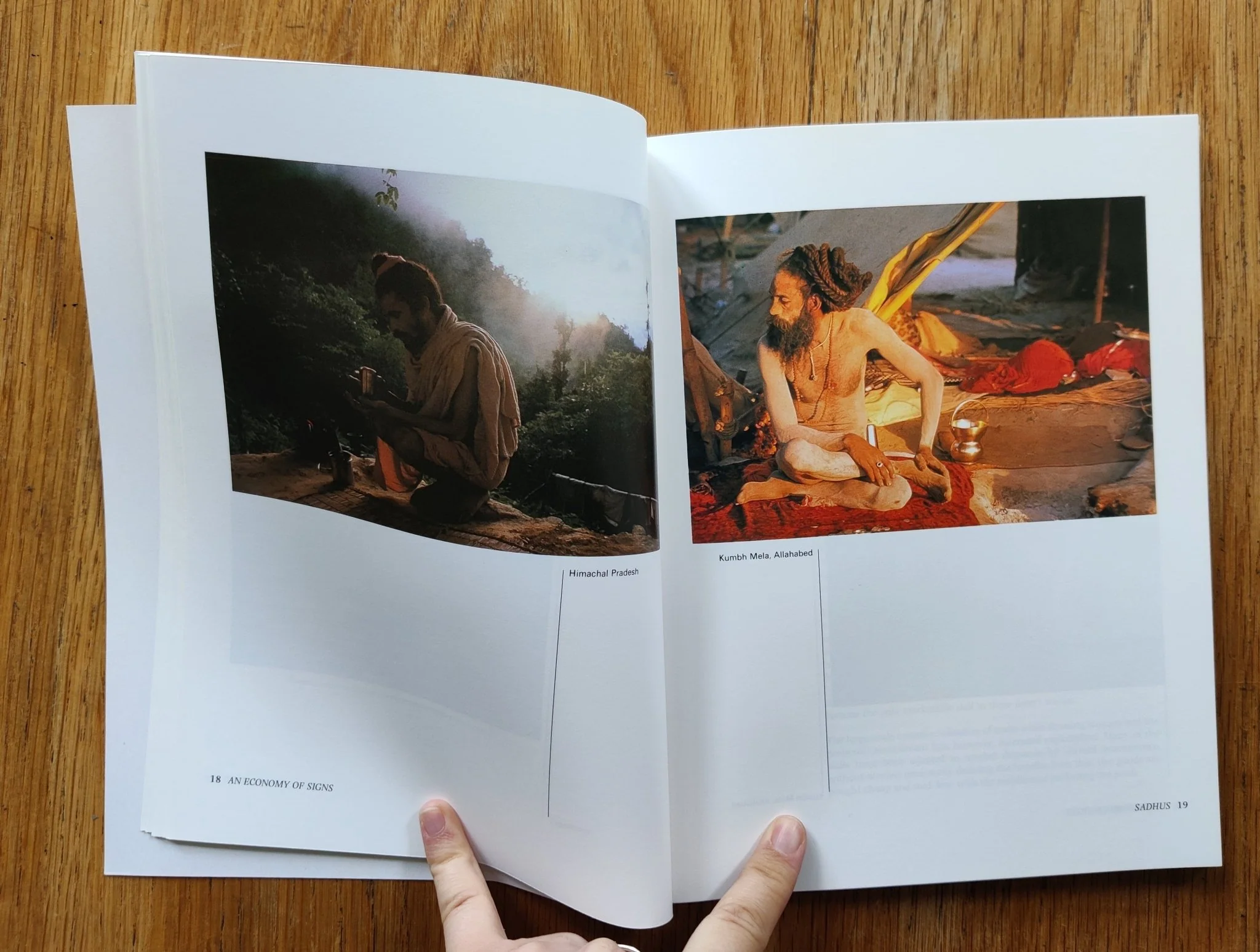 An Economy of Signs: Contemporary Indian Photographs - Image 3