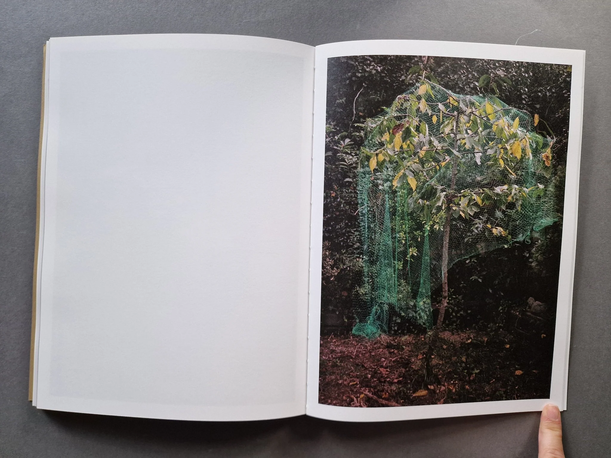 And Into The Forest I Go - Image 7