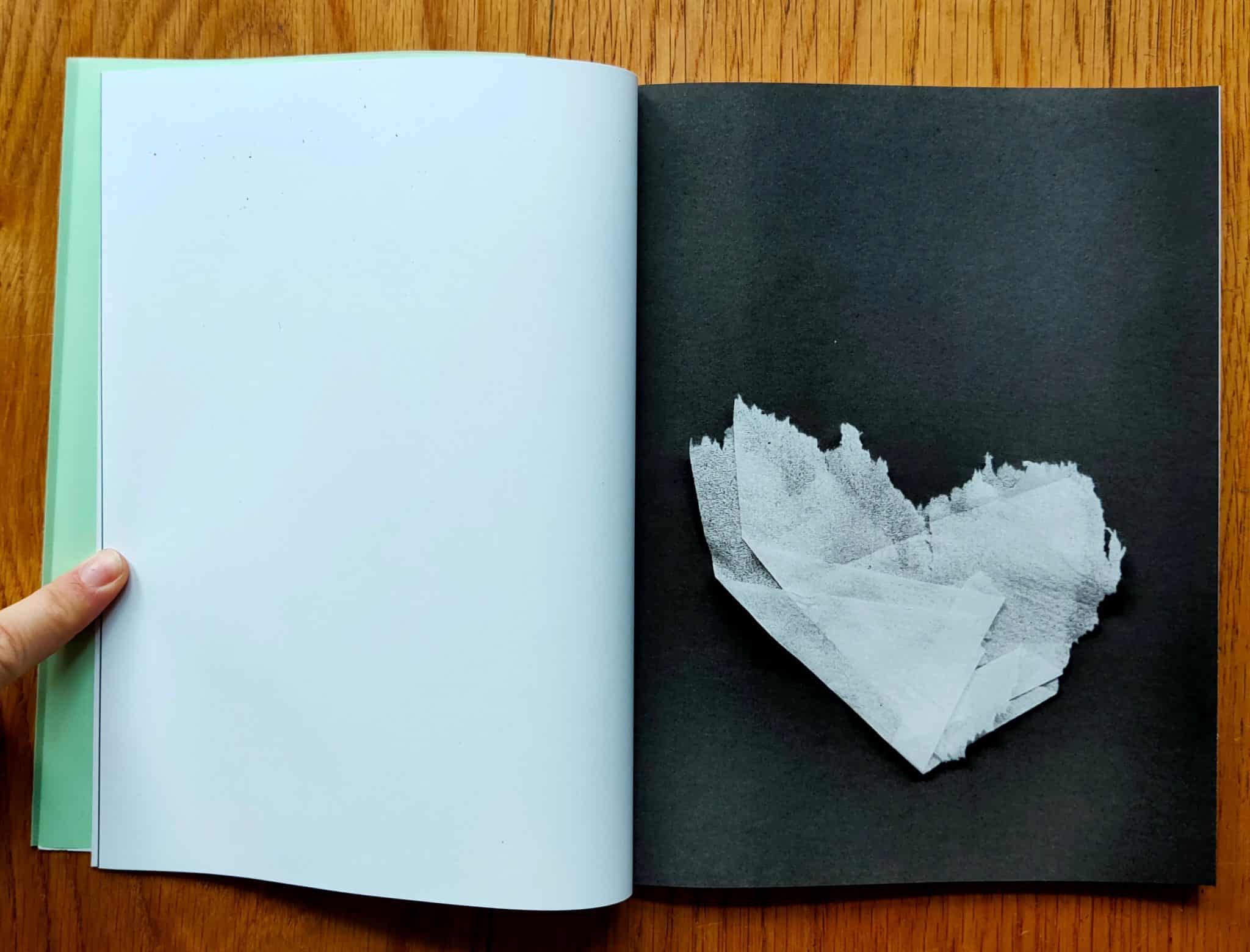 Anonymous Origami - Image 3