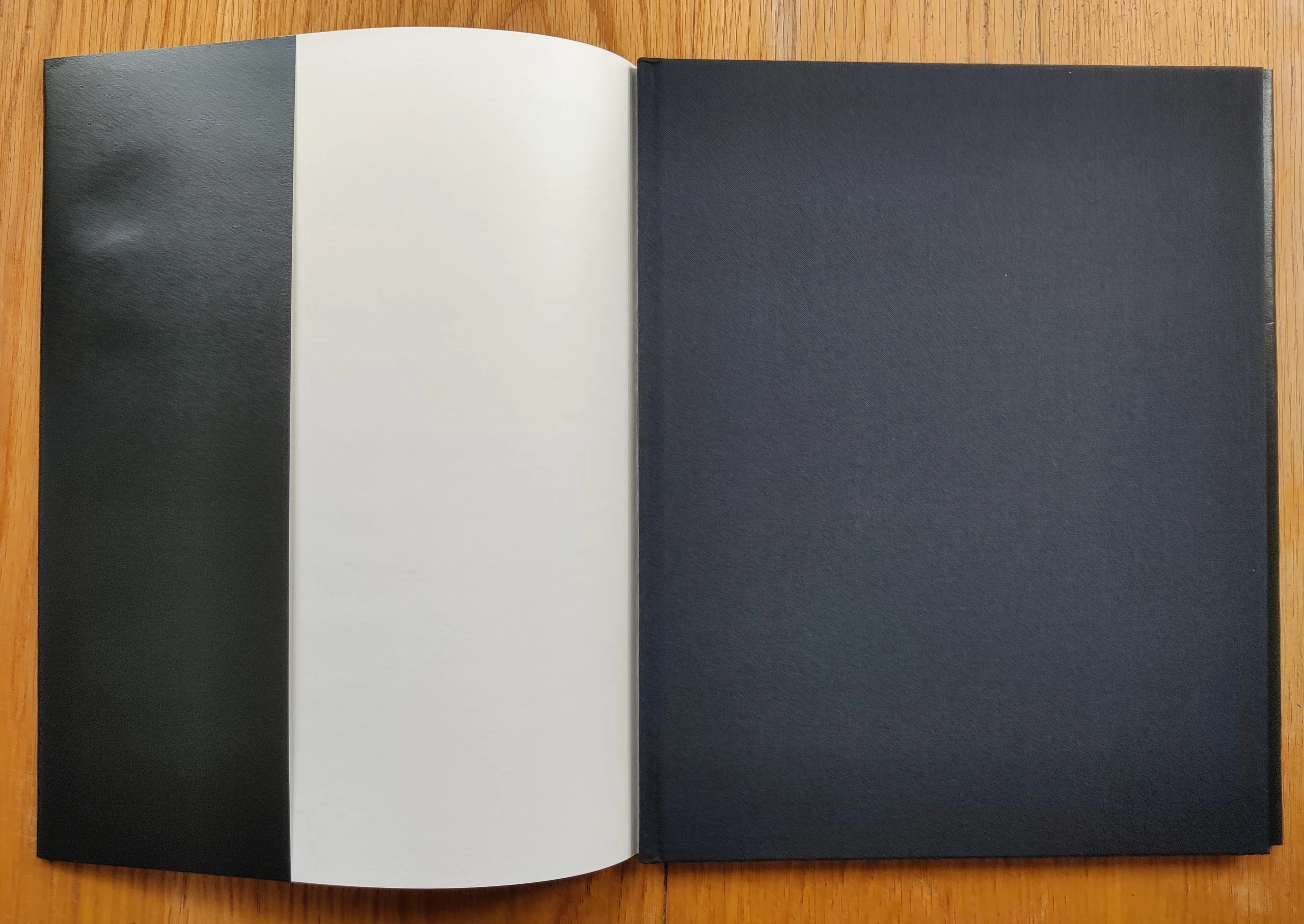 Appearances, Disappearances, Reappearances - Image 4