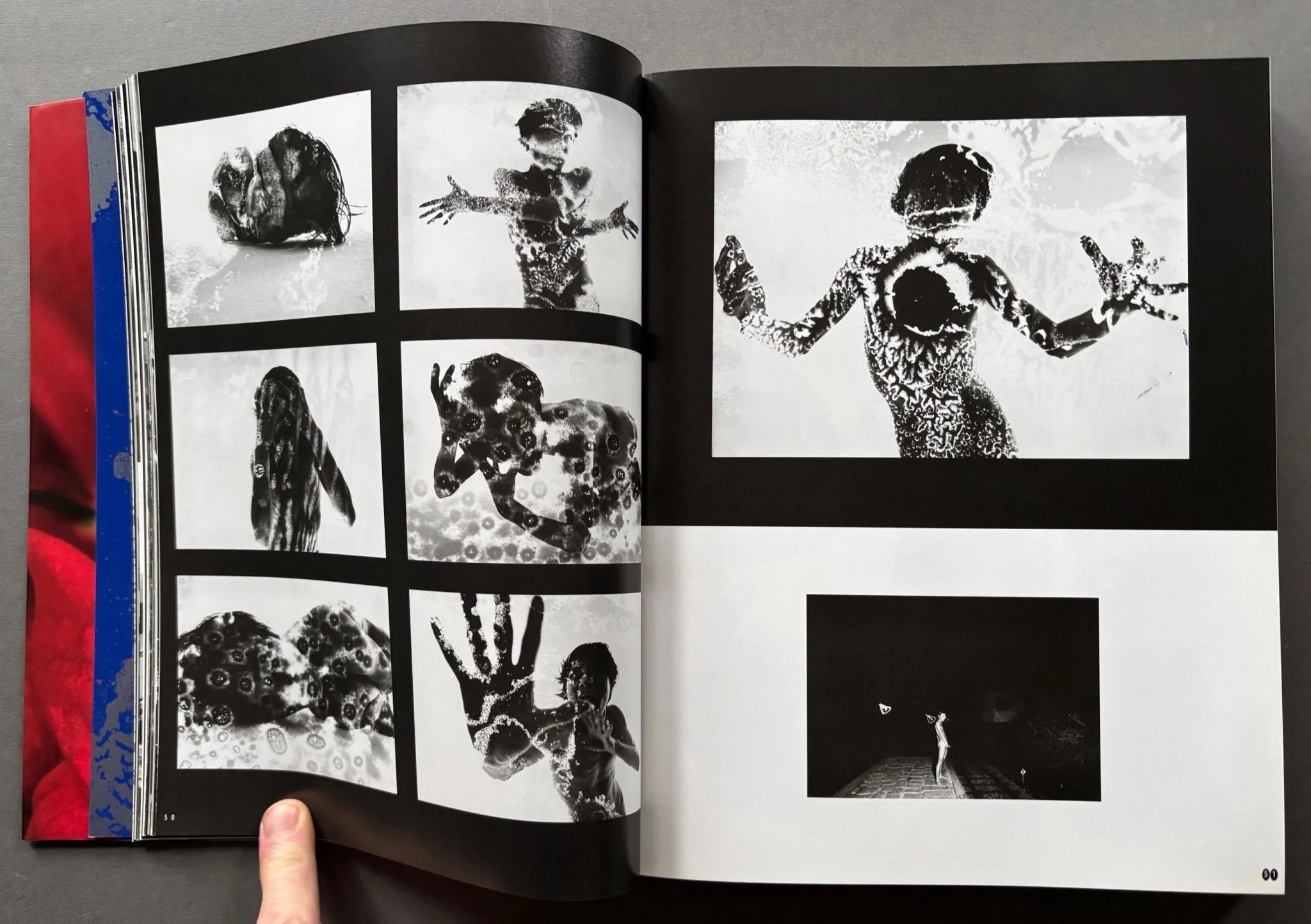 Araki By Araki: The Photographer's Personal Selection - Image 4