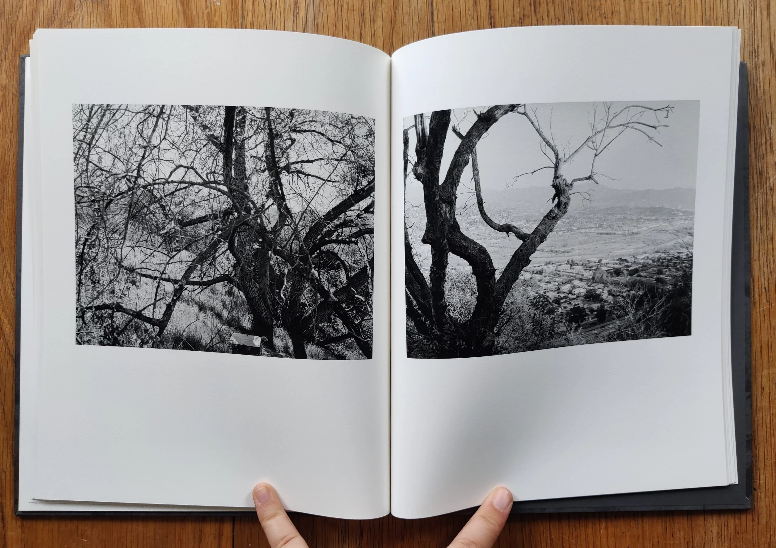 Arboreal - Image 7