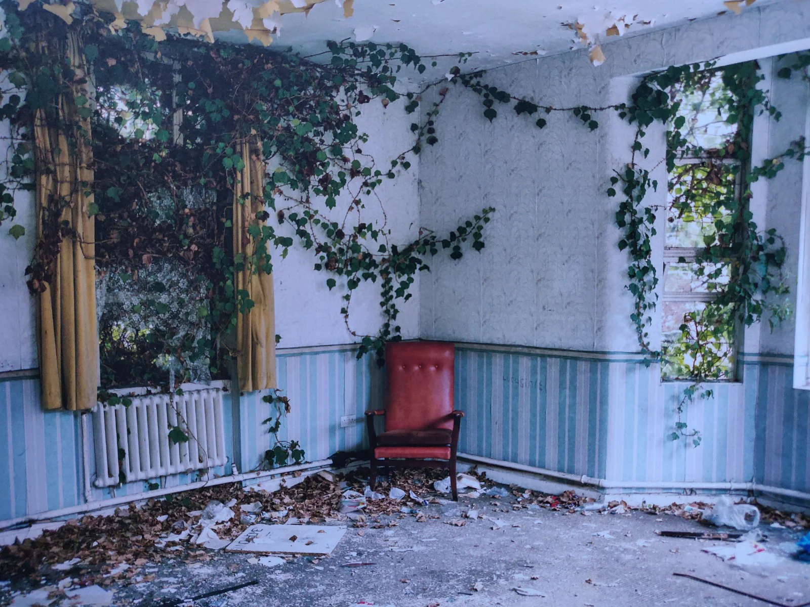 Arcadia - Image 6