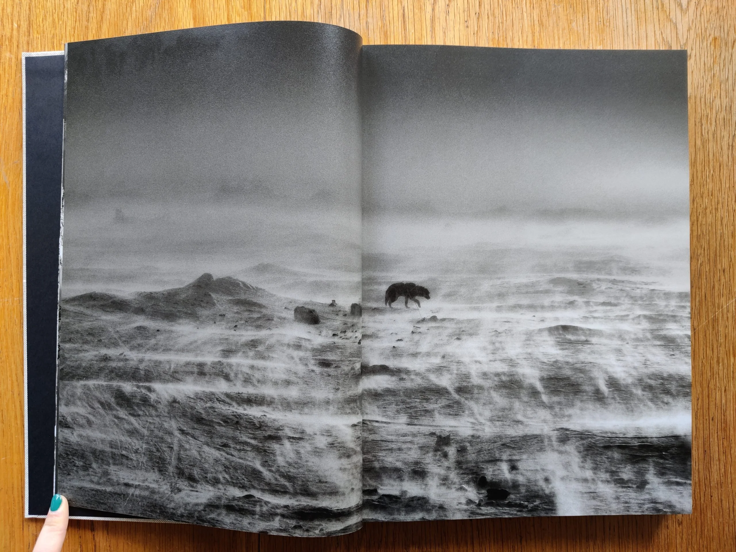 Arctic Heroes - Image 4