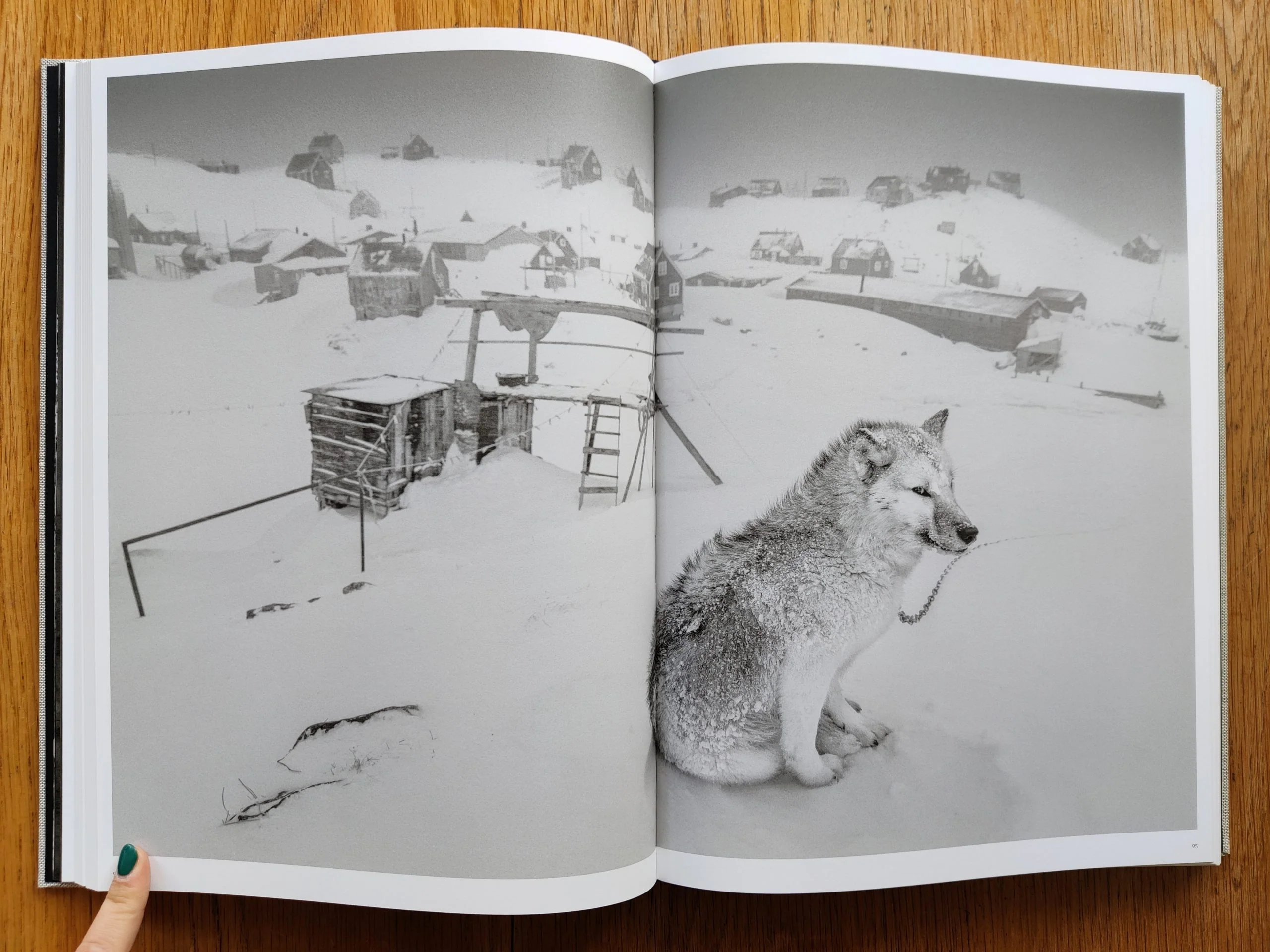 Arctic Heroes - Image 7