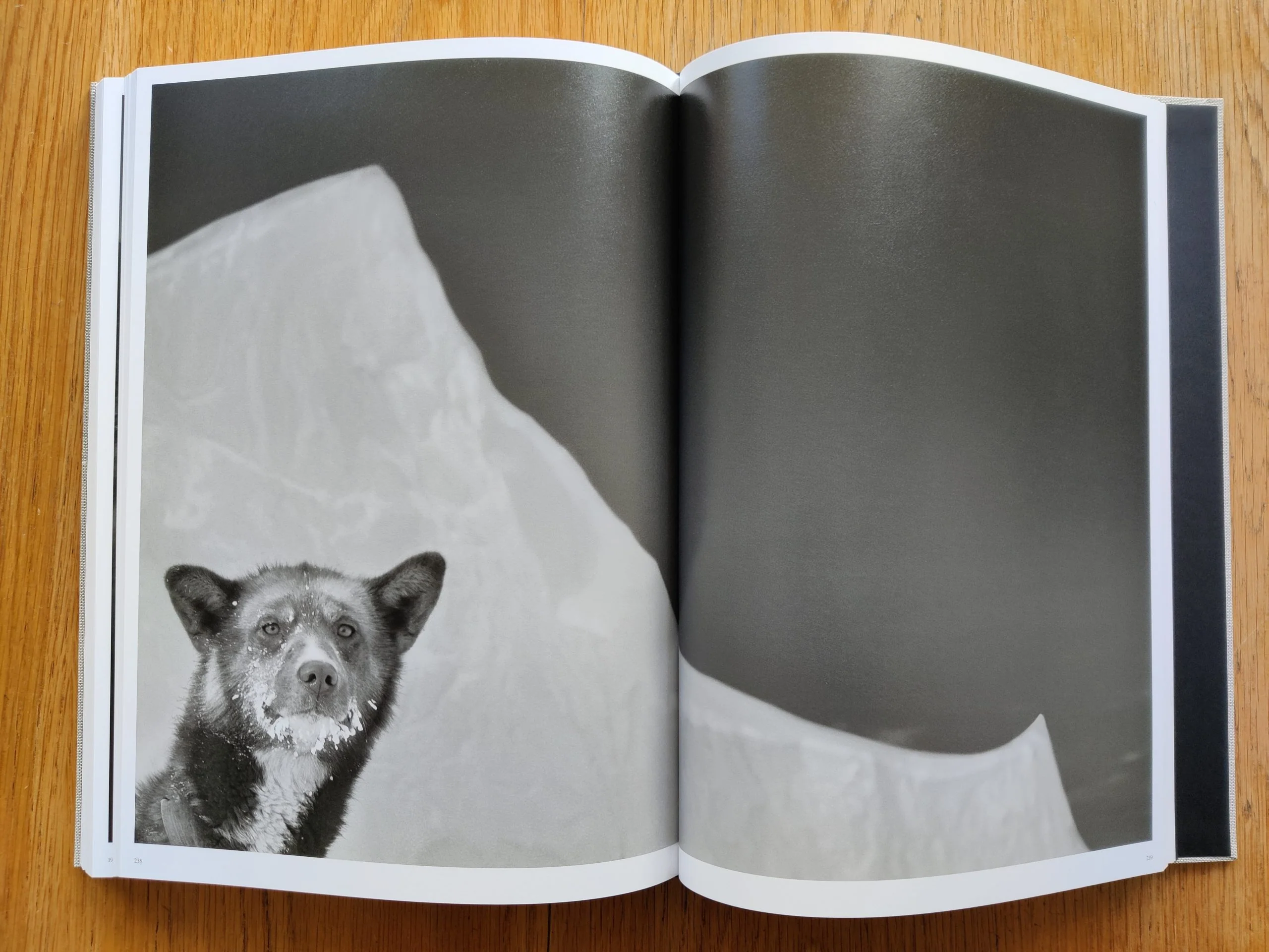 Arctic Heroes - Image 9