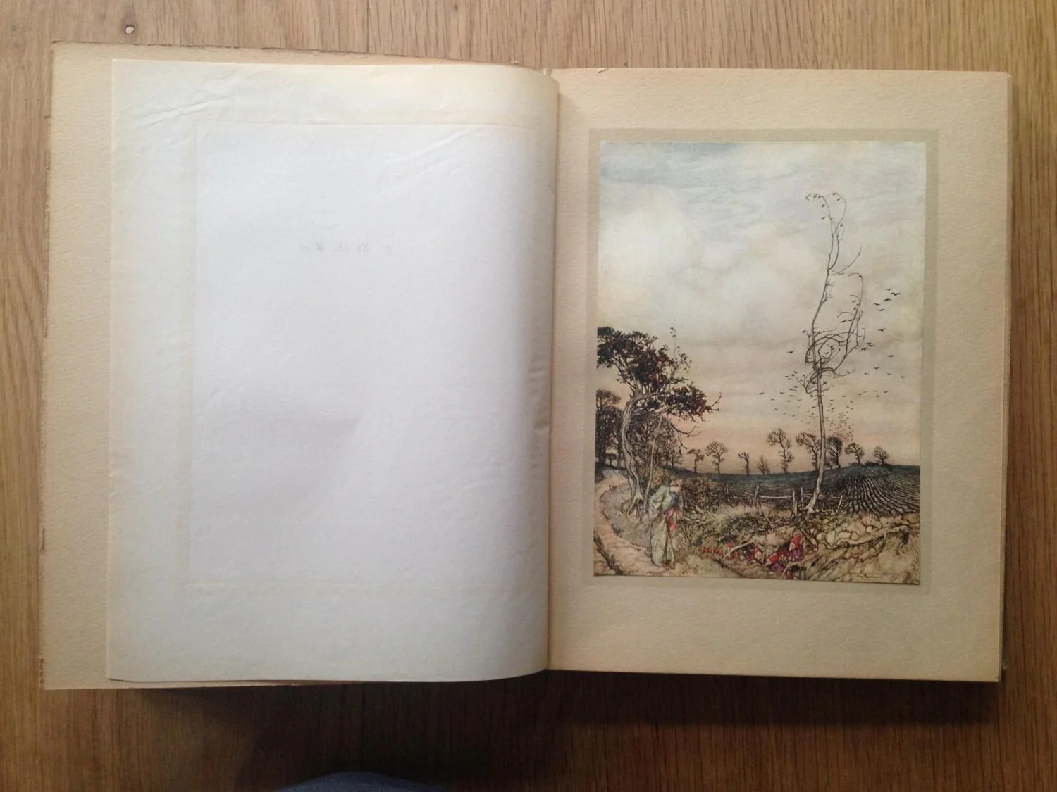 Arthur Rackham's book of Pictures - Image 3