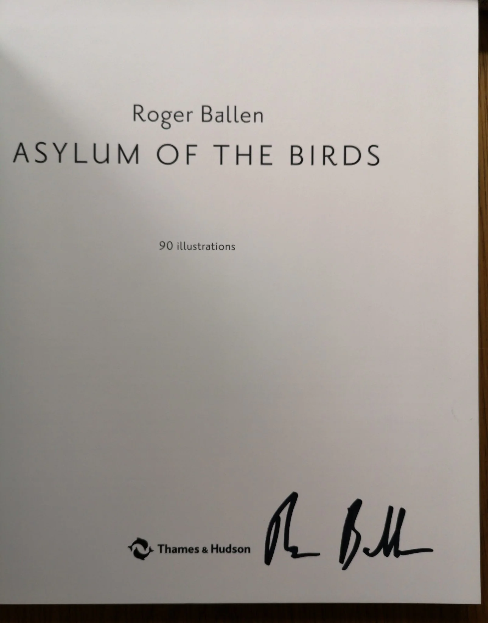 Asylum of the Birds - Image 2