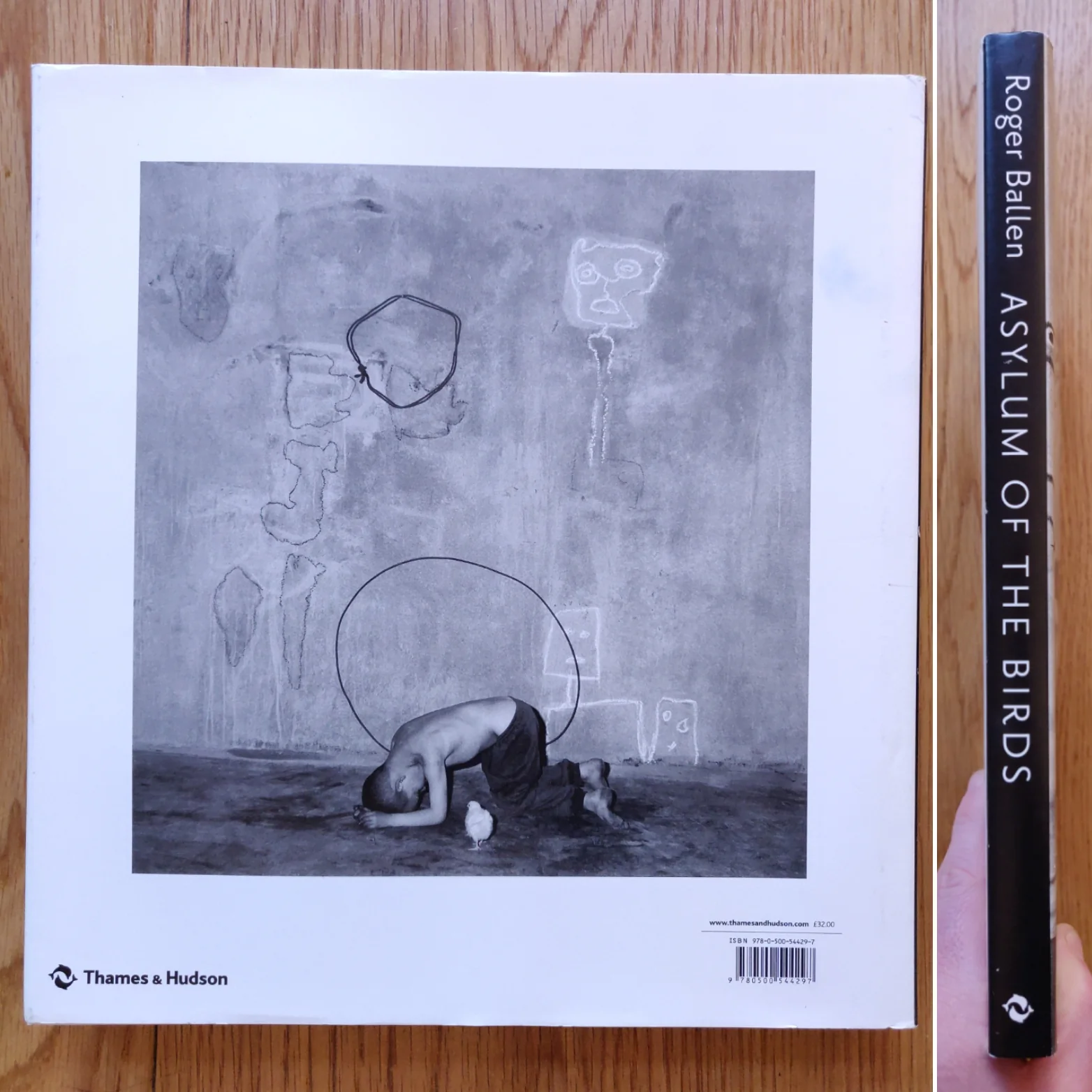 Asylum of the Birds - Image 21