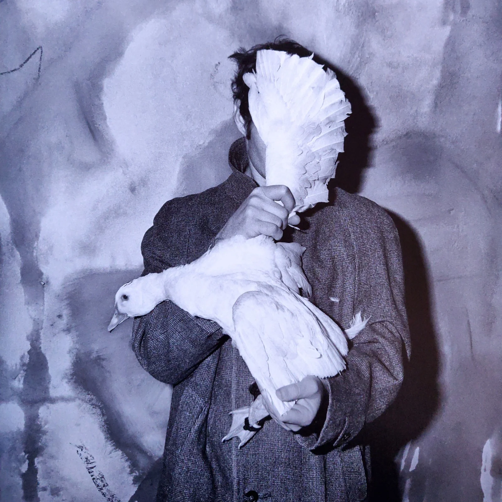 Asylum of the Birds - Image 3