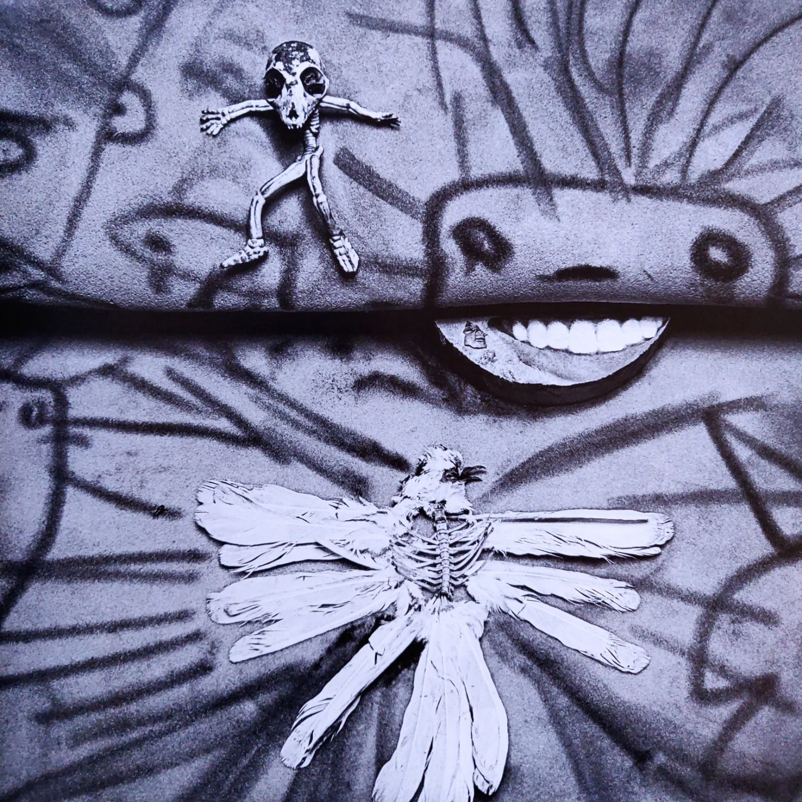 Asylum of the Birds - Image 4