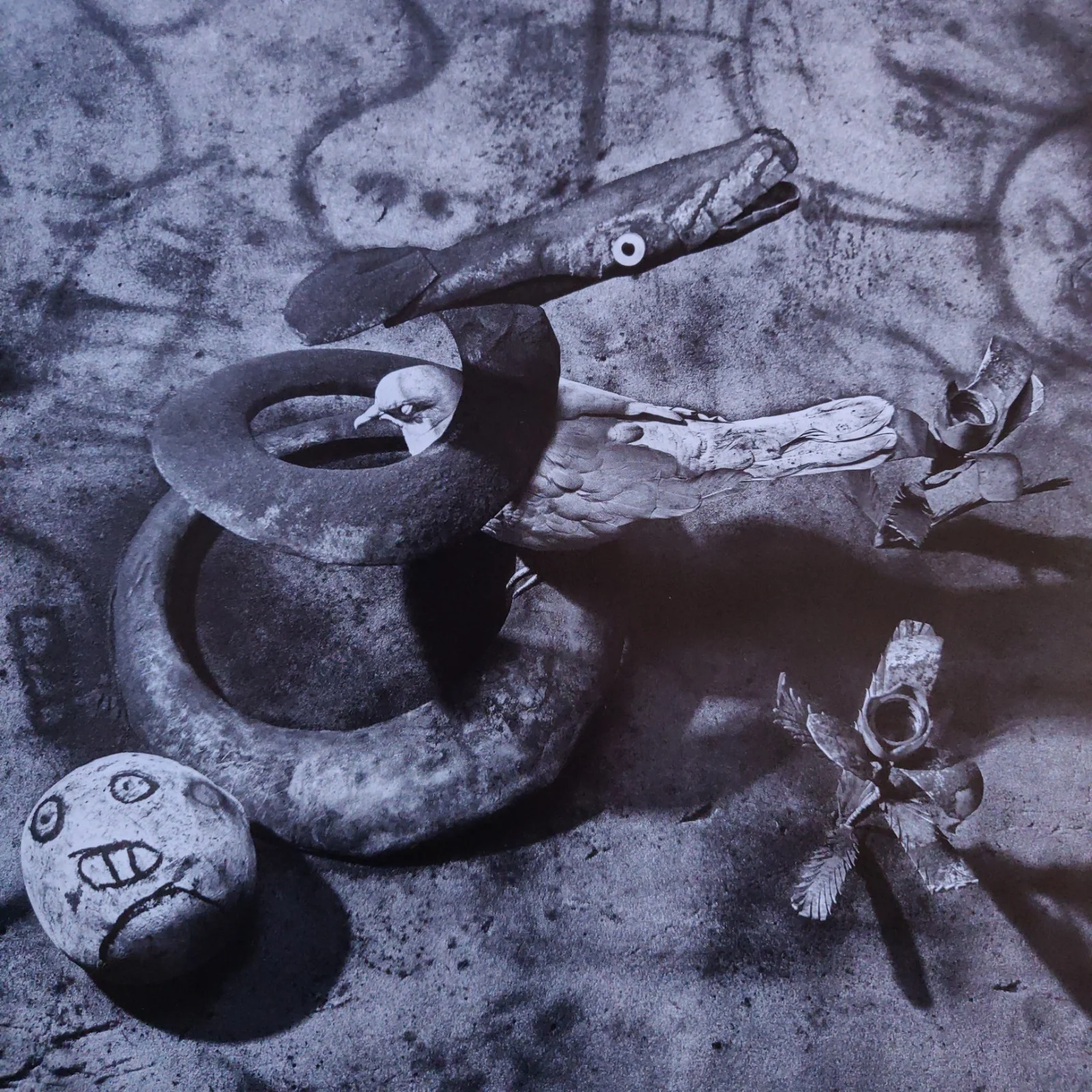 Asylum of the Birds - Image 5