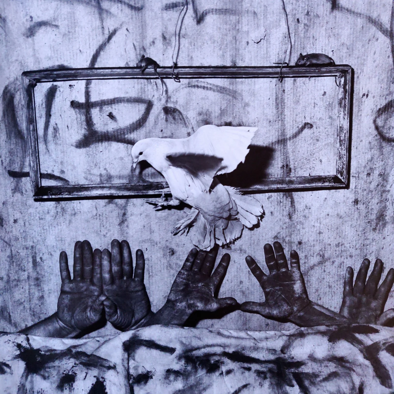 Asylum of the Birds - Image 6