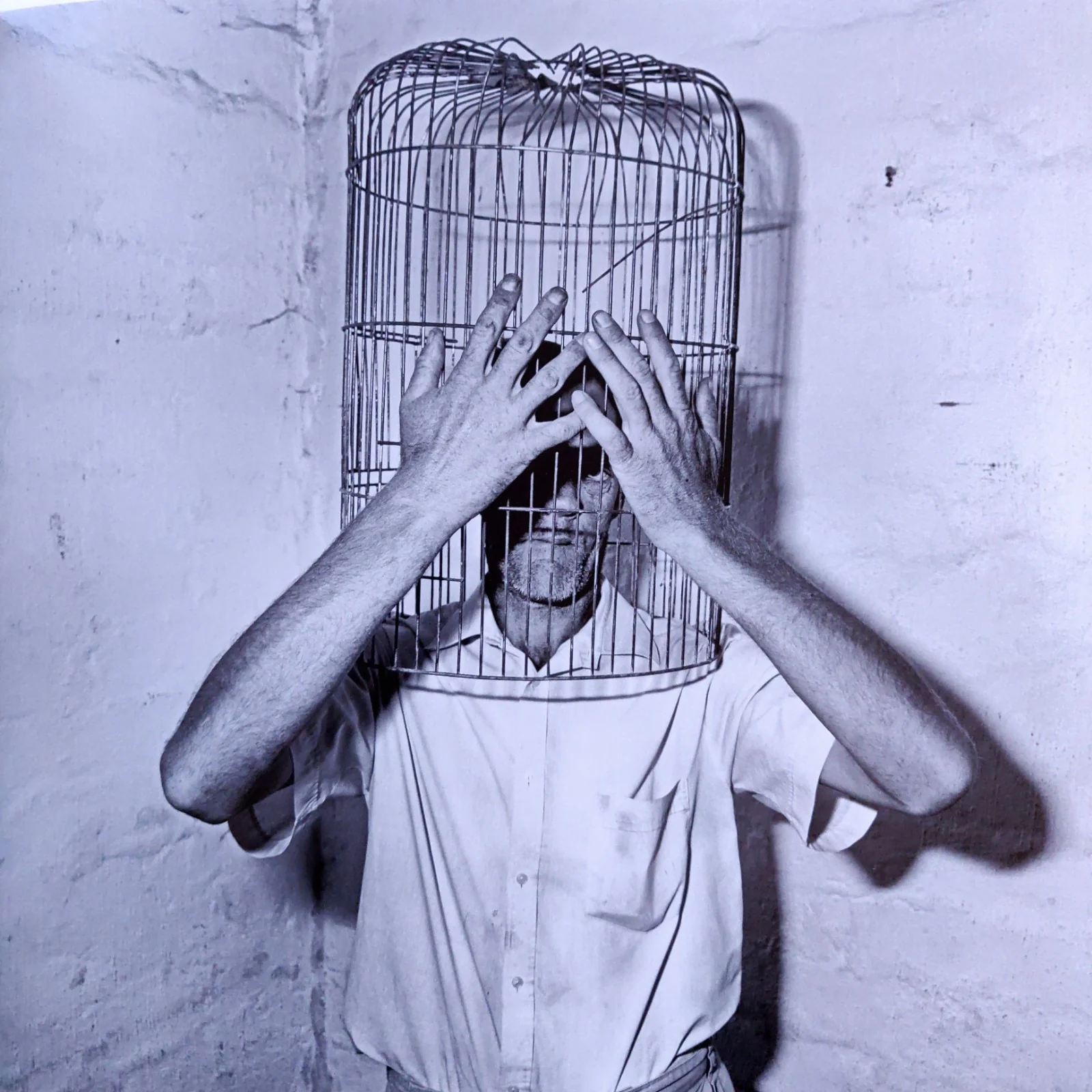 Asylum of the Birds - Image 7