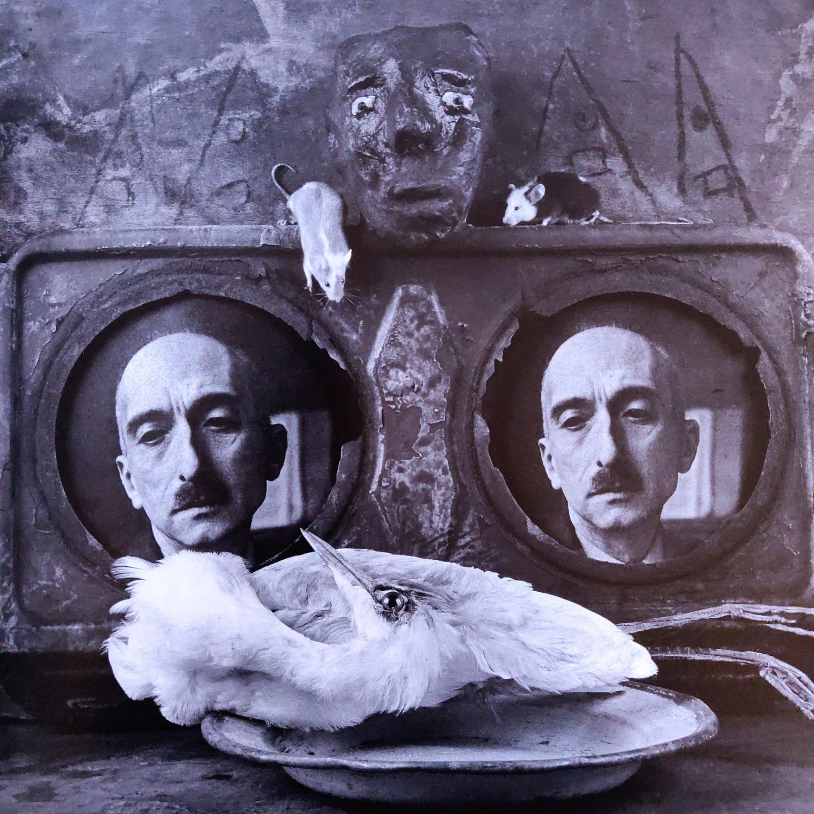 Asylum of the Birds - Image 8