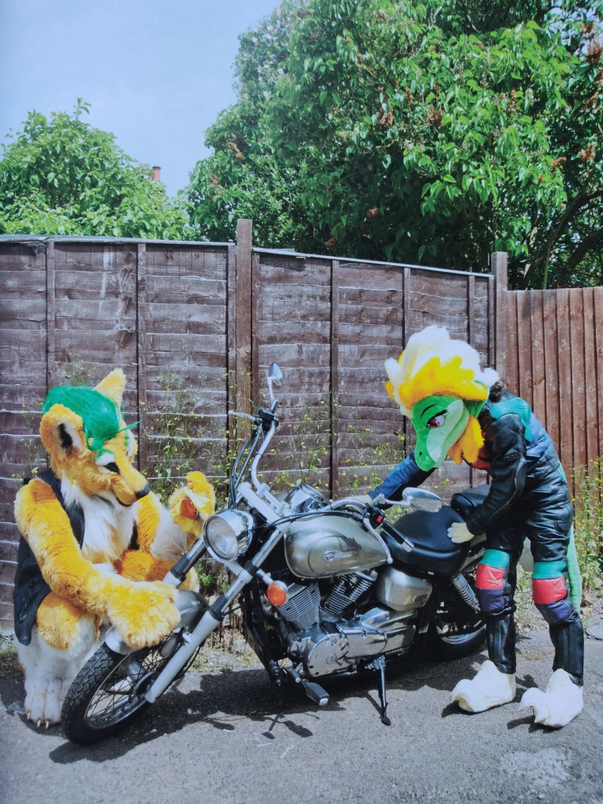 At Home With The Furries - Image 4
