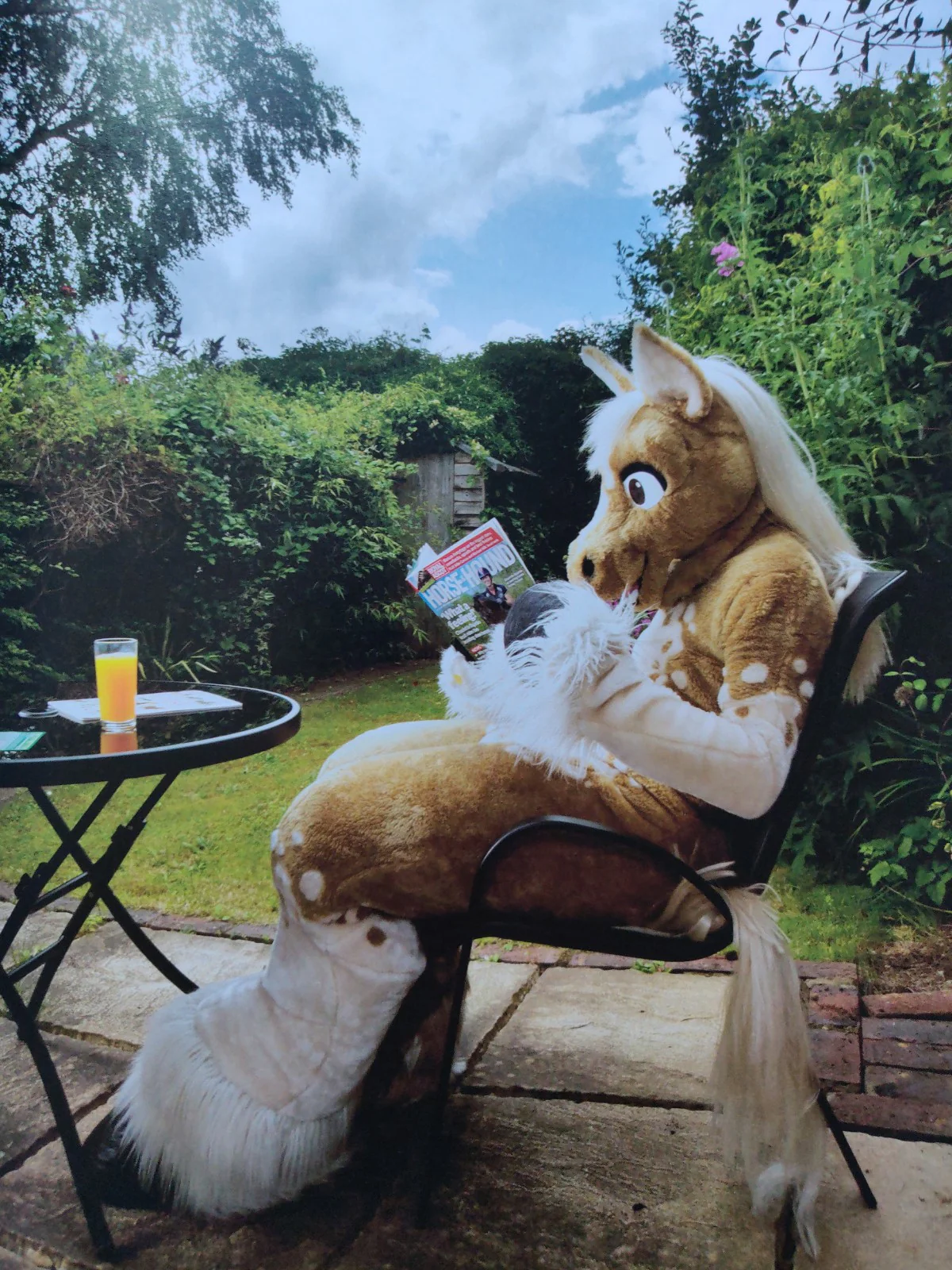At Home With The Furries - Image 5