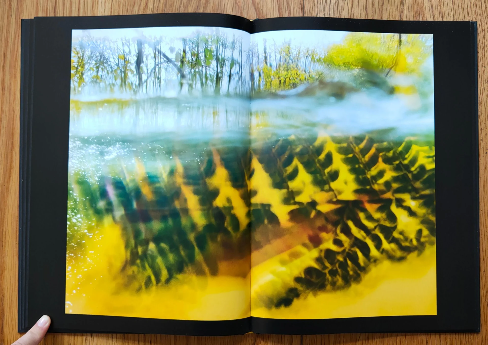 Autumn River - Image 6