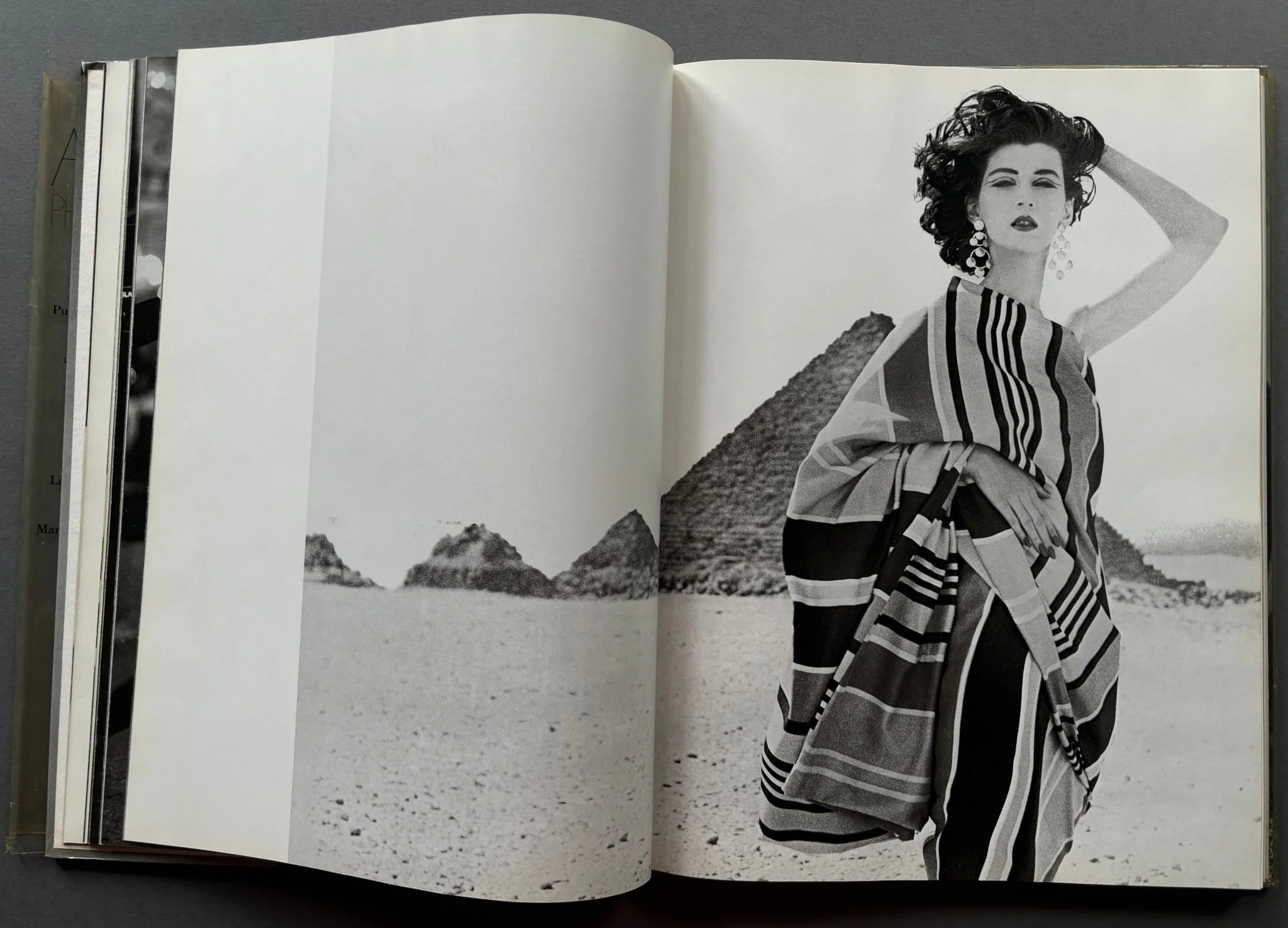 Avedon: Photographs 1947-1977 - Image 3